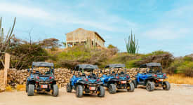 Arubas villmark med beach buggys