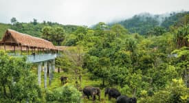 Phuket Elephant Sanctuary – ettermiddag