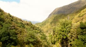 Levada Caldeirao Verde – 13 km