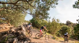 Biking the Olive Route