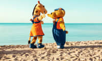 På Sunwing Alcudia Beach kan de yngste gjestene delta i morsomme aktiviteter med Lollo & Bernie