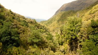 En eventyrlig vandring langs en av Madeiras vakreste levadaer