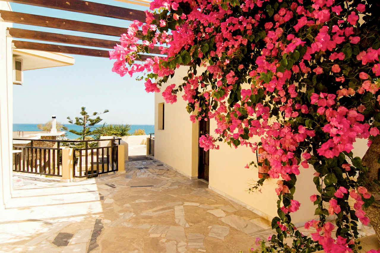 Hotellbilder av Belvedere - nummer 1 av 29