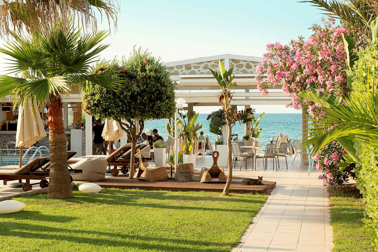 Hotellbilder av Tropicana Beach Hotel - nummer 1 av 41