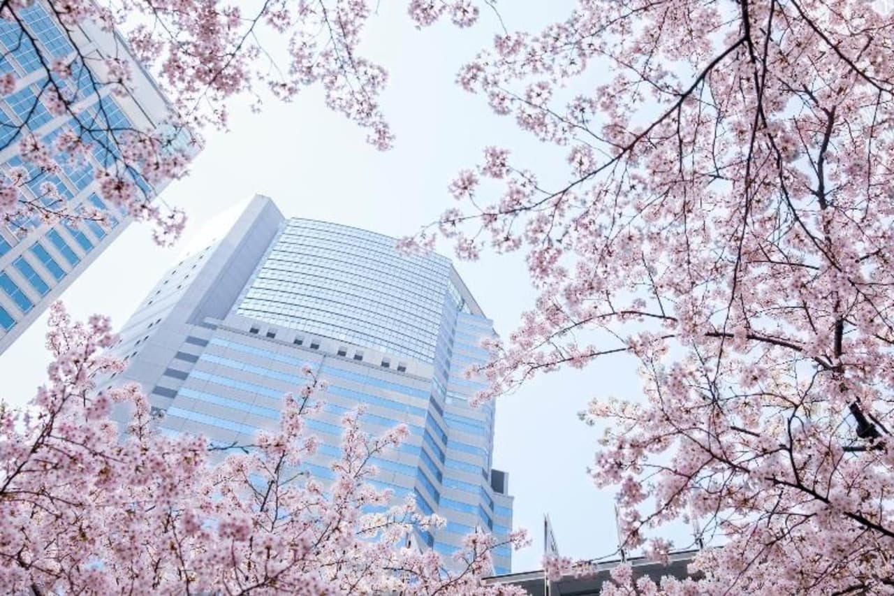 Hotellbilder av The Strings By Intercontinental Tokyo - nummer 1 av 381