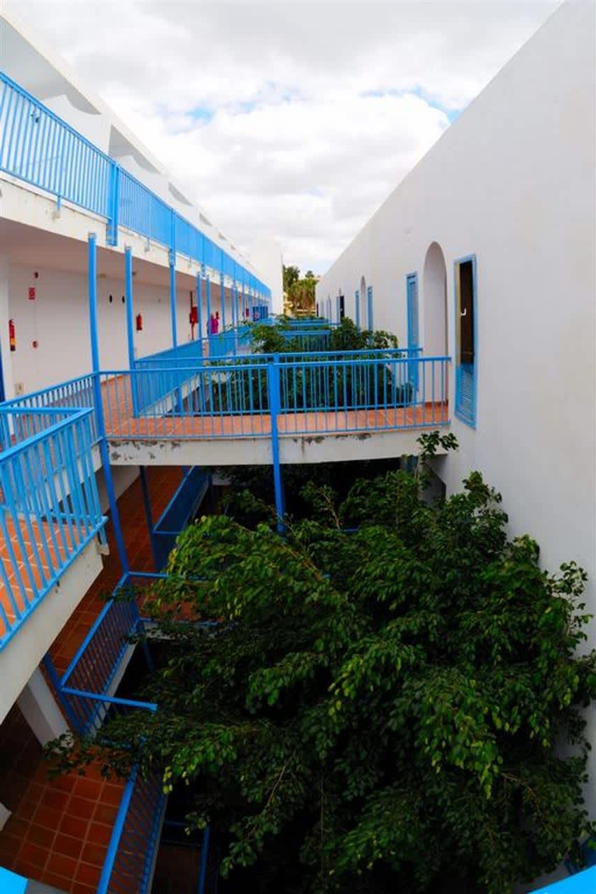 Bilder fra Costa Volcan Apartments (Puerto del Carmen) Ving