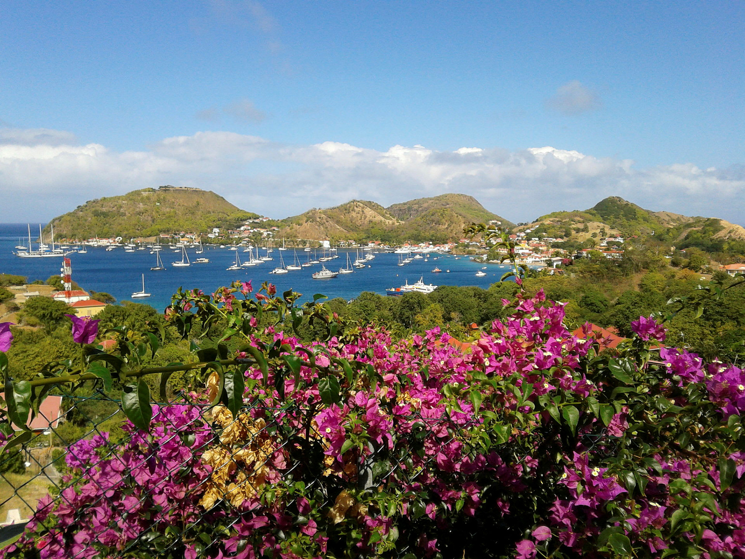 Utsikt over en bukt med seilbåter, omgitt av fjell og grønne områder, med blomstrende bougainvillea i forgrunnen. (AI-generert tekst)