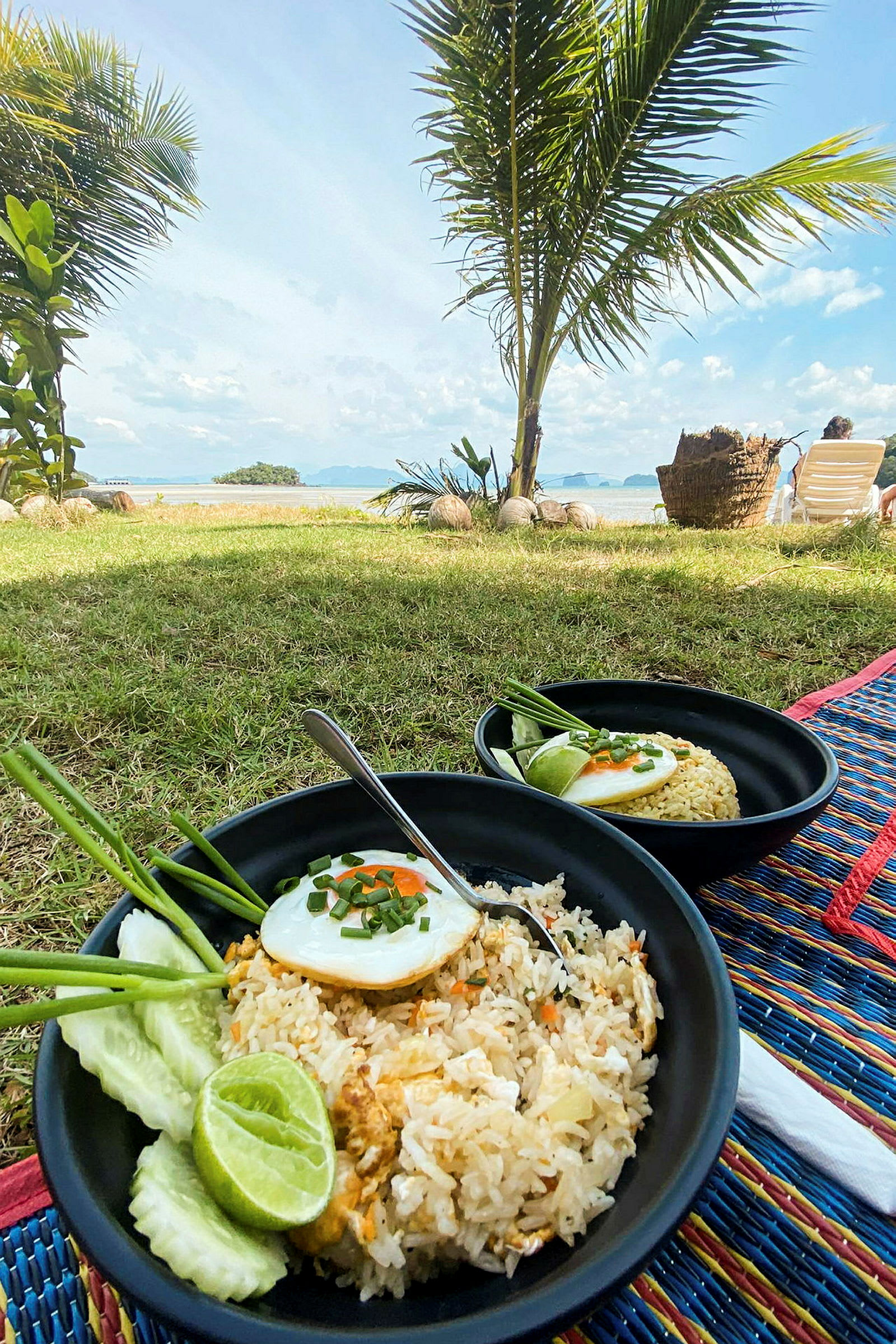To tallerkener med stekt ris, grønnsaker og egg på en plen med utsikt mot stranden og havet. (AI-generert tekst)
