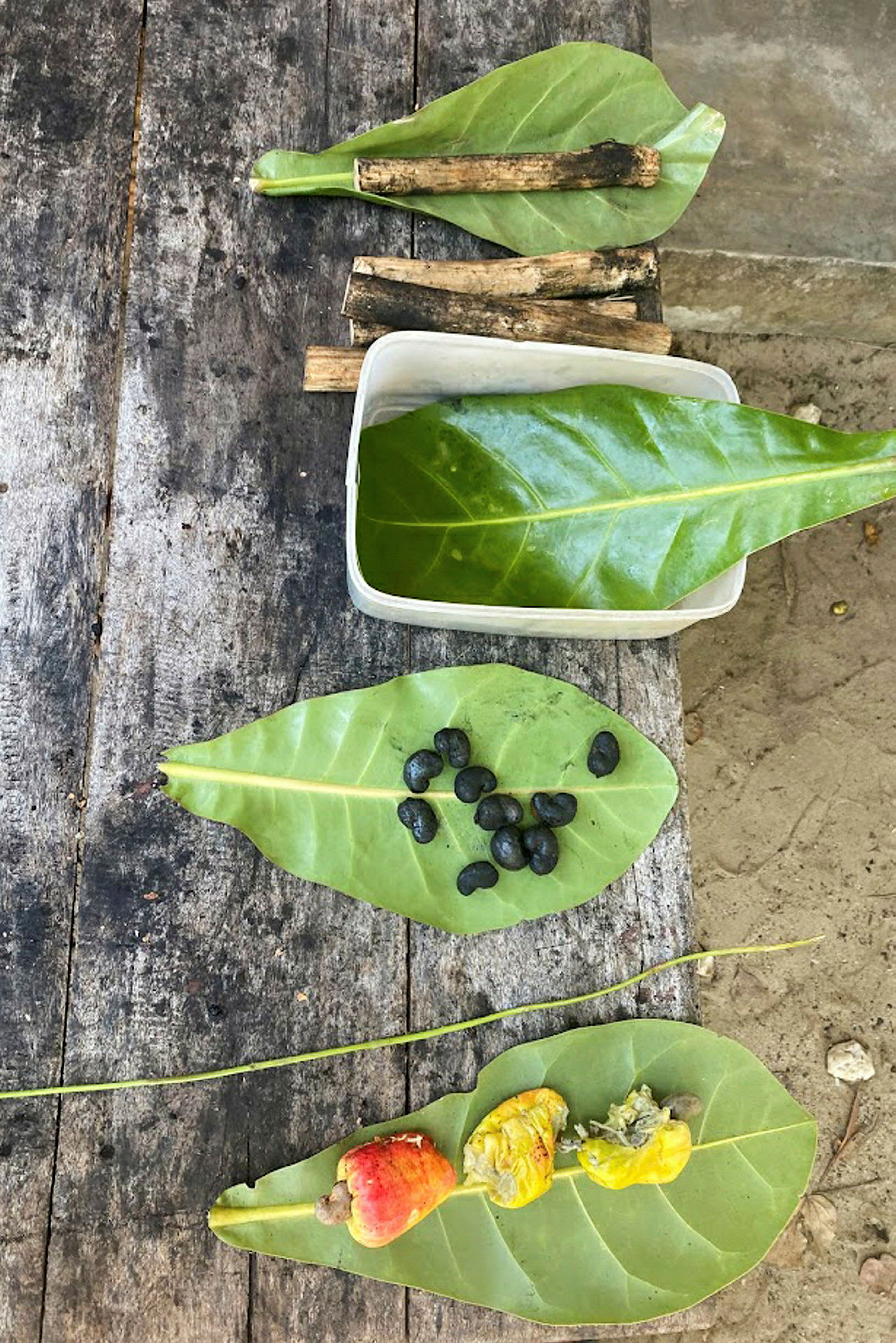 Et trebord med blader, små tregrener, svarte frø og cashewnøtter. (AI-generert tekst)