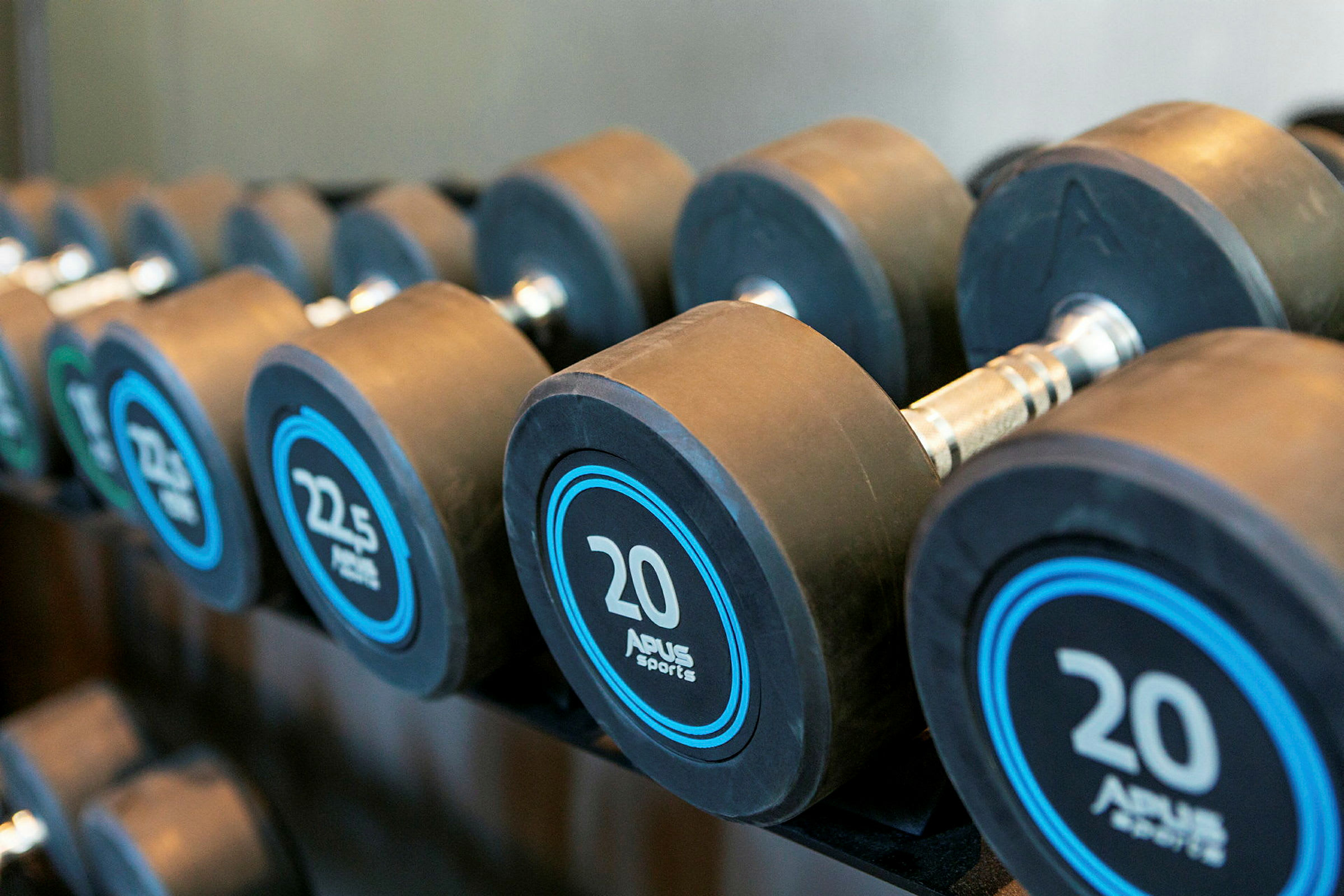 Vektskiveholder med forskjellige vekter, inkludert 20 kg-hantler. (AI-generert tekst)