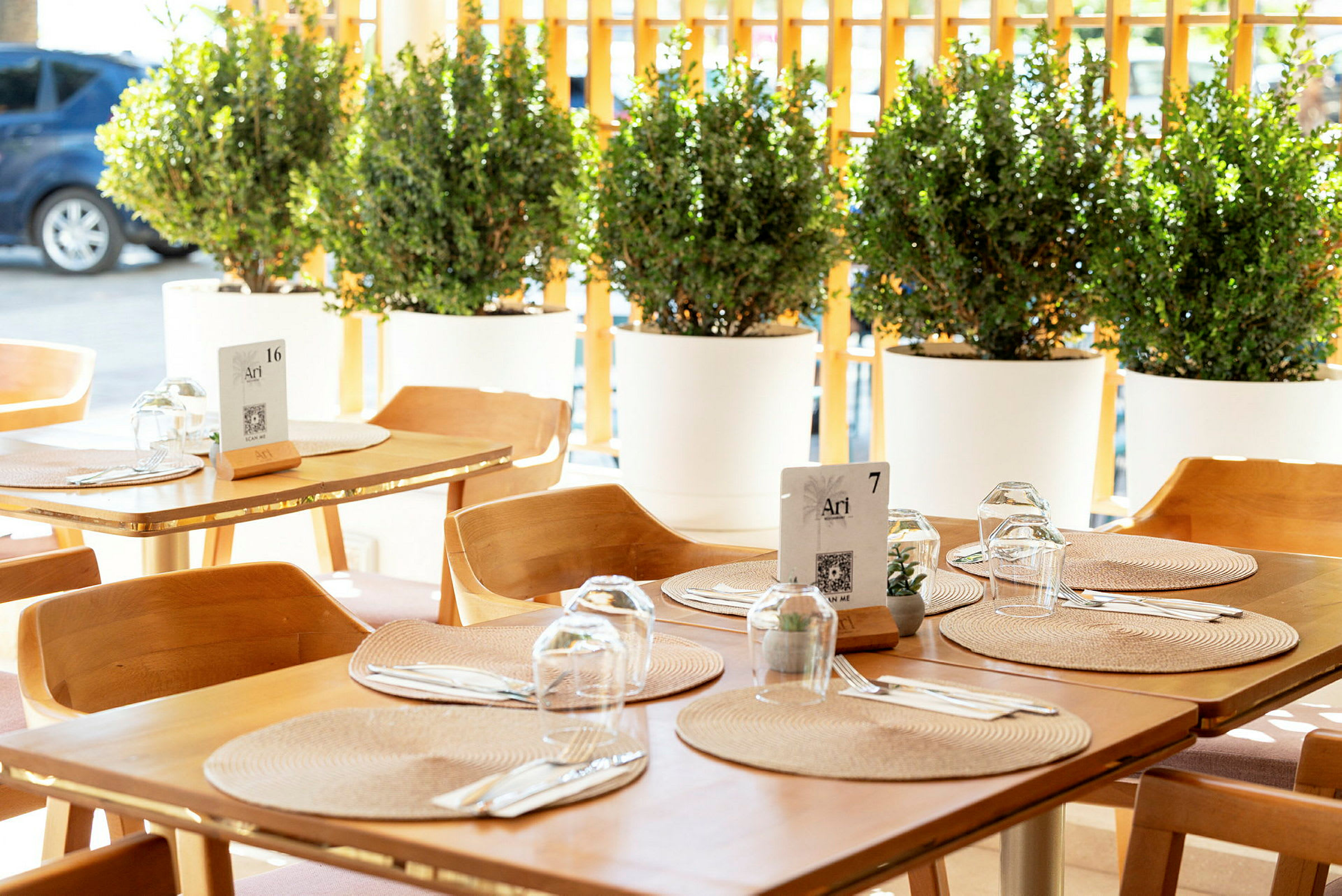 Oppsatt bord i restaurant med trestoler og runde underlag, omgitt av grønne potteplanter. (AI-generert tekst)