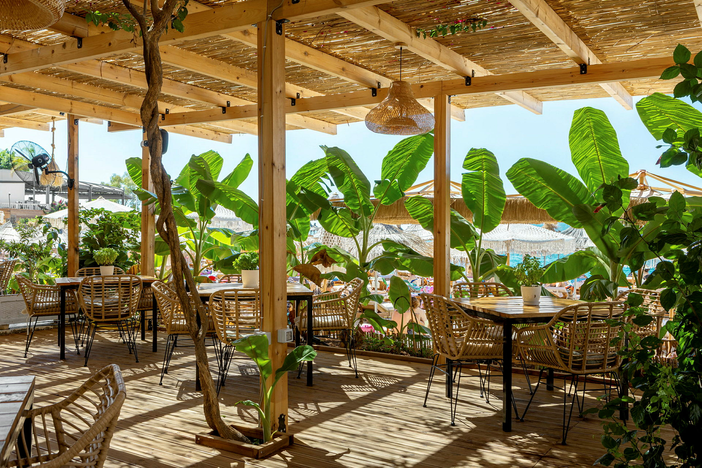 Terrasse med rottingmøbler og planter under tak nær stranden. (AI-generert tekst)