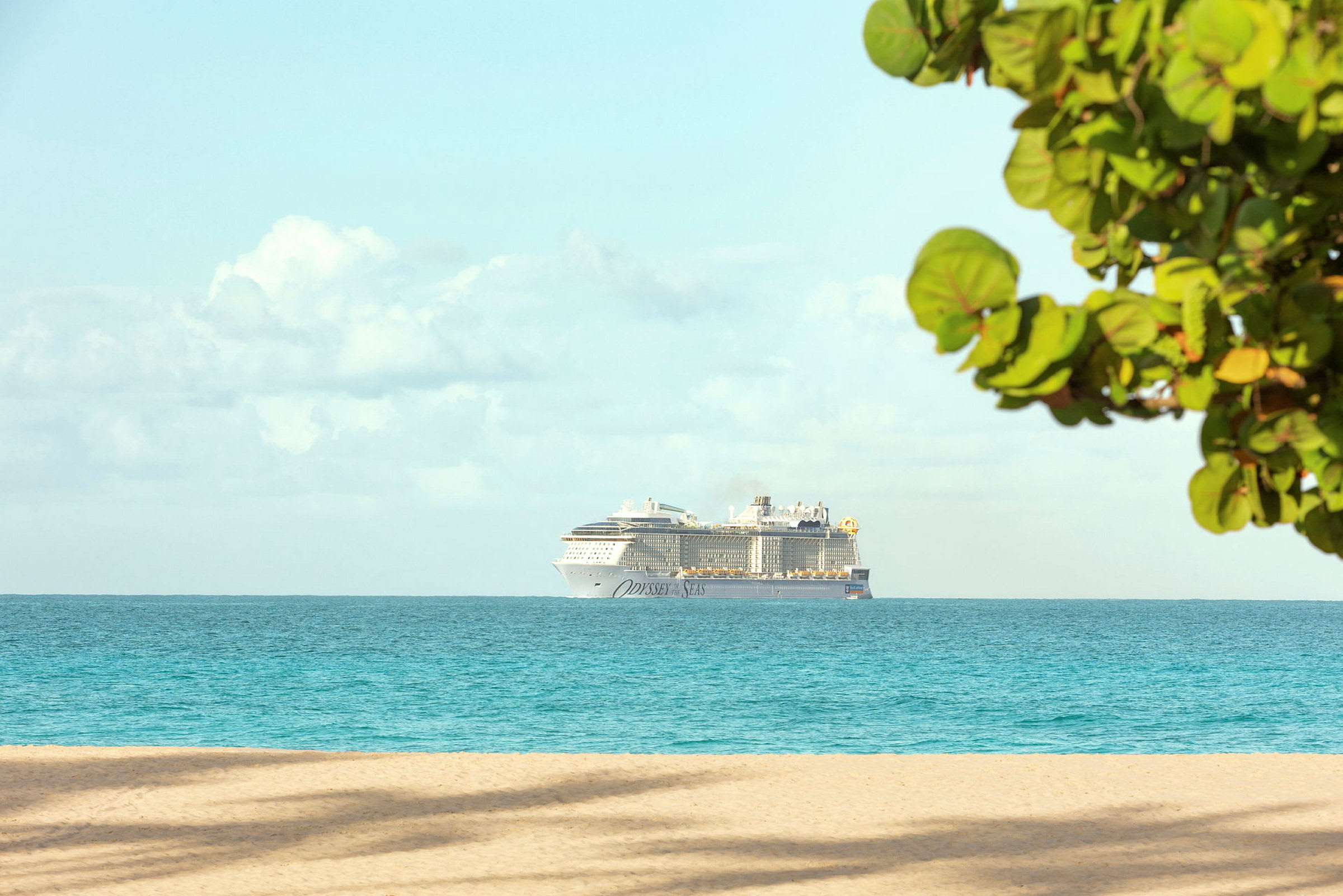 Et cruiseskip som seiler på det blå havet med en strand i forgrunnen og tregrener som skymter til høyre. (AI-generert tekst)