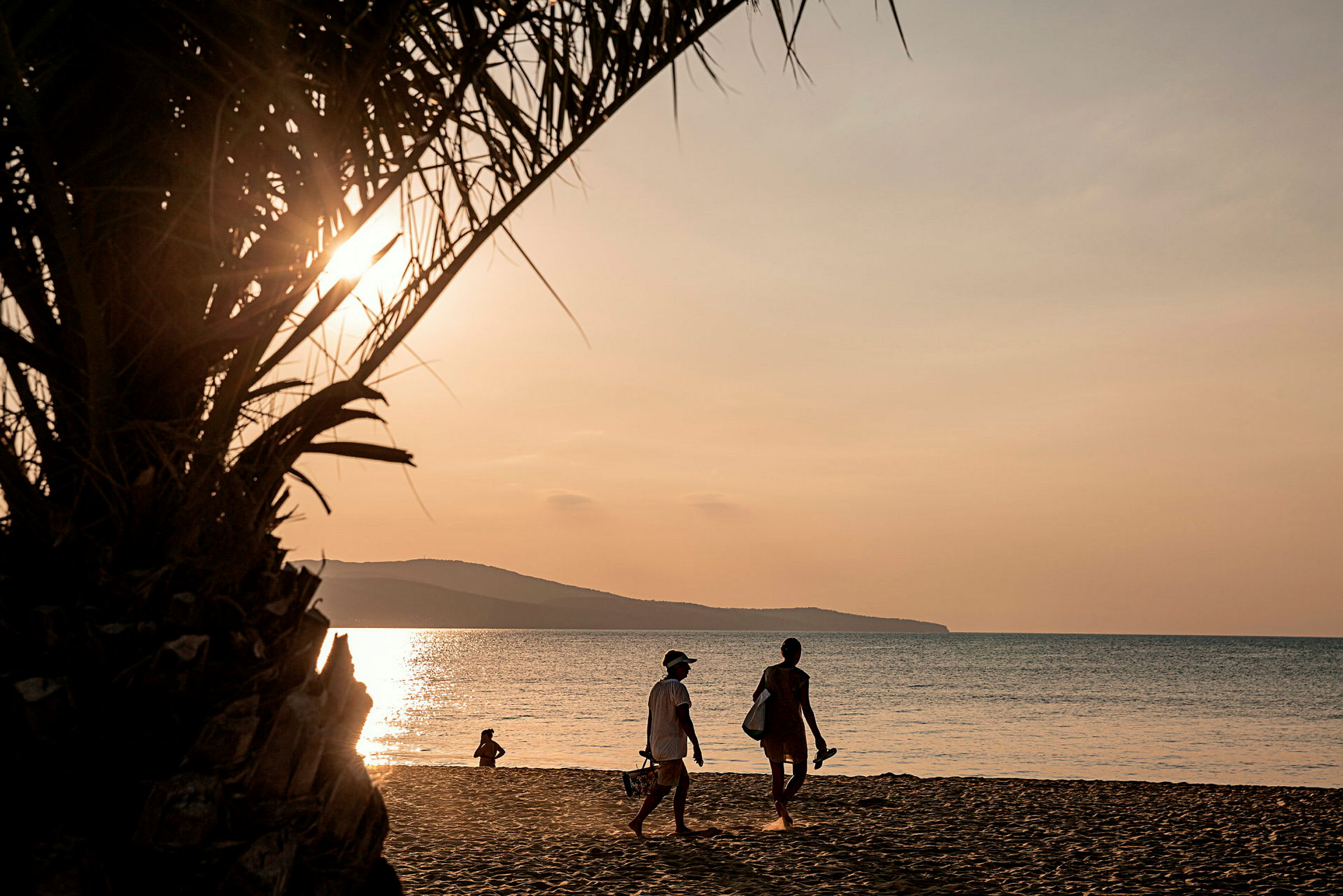 To personer går på en strand ved solnedgangen, med en palme i forgrunnen. (AI-generert tekst)