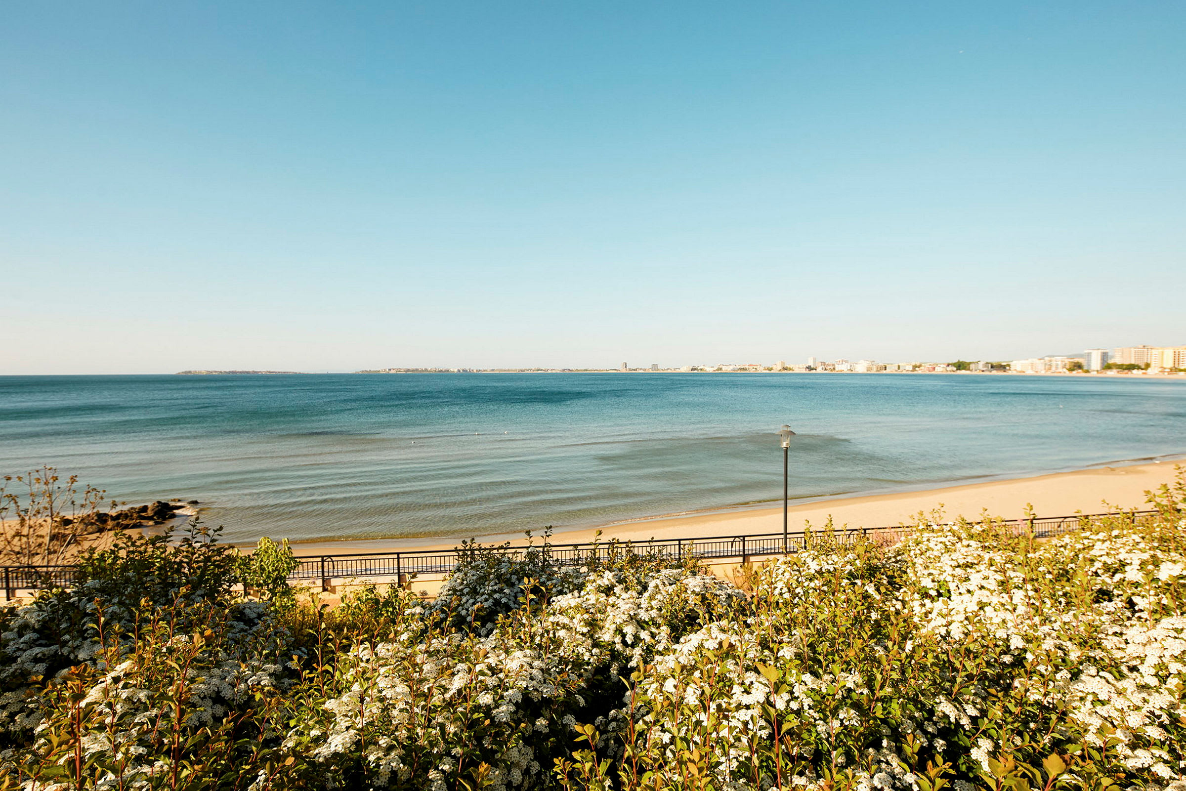 En strand med vegetasjon i forgrunnen og havet i bakgrunnen. (AI-generert tekst)