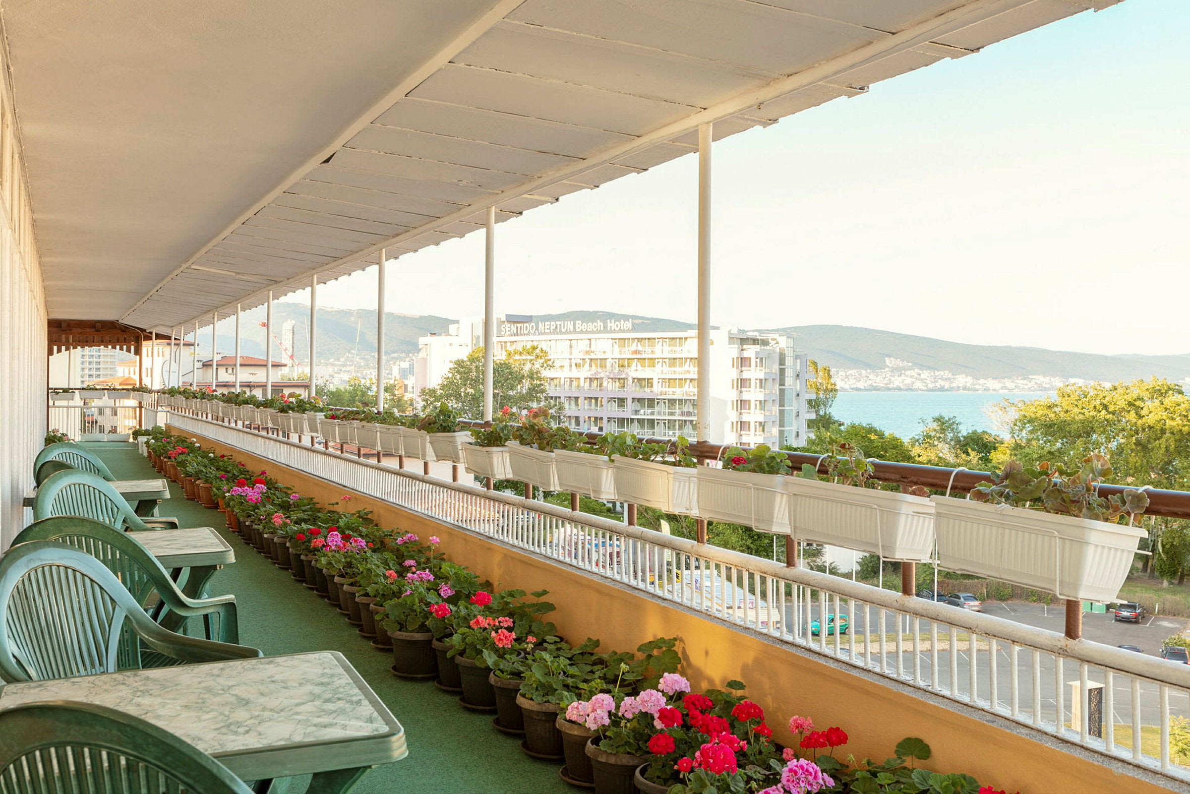 En terrasse med grønne plaststoler og bord, omgitt av blomsterpotter og utsikt mot et hotell og havet. (AI-generert tekst)