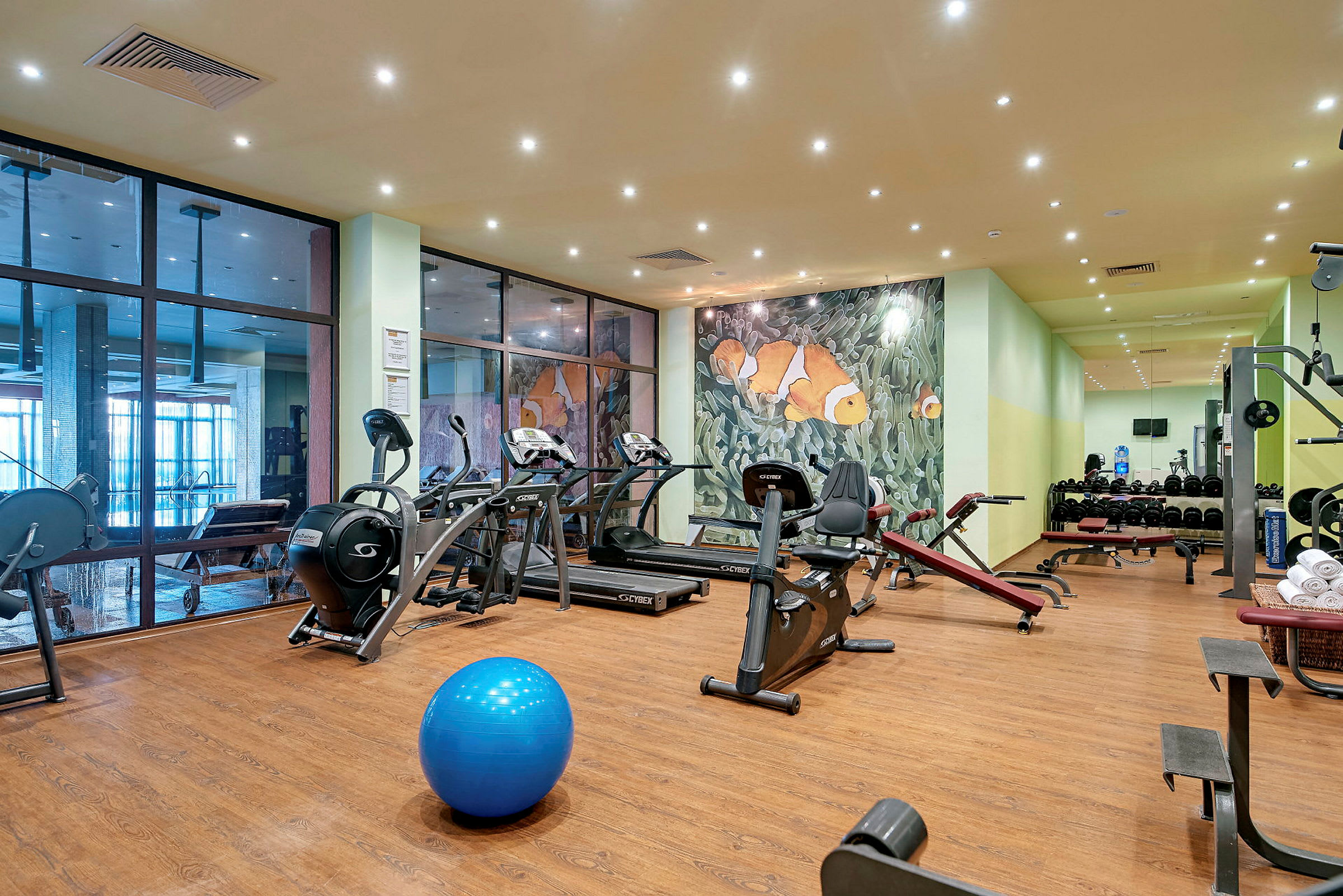 Et treningsstudio med treningsmaskiner, manualer og en blå pilatesball. På veggen er det en dekorasjon med klovnefisker. (AI-generert tekst)