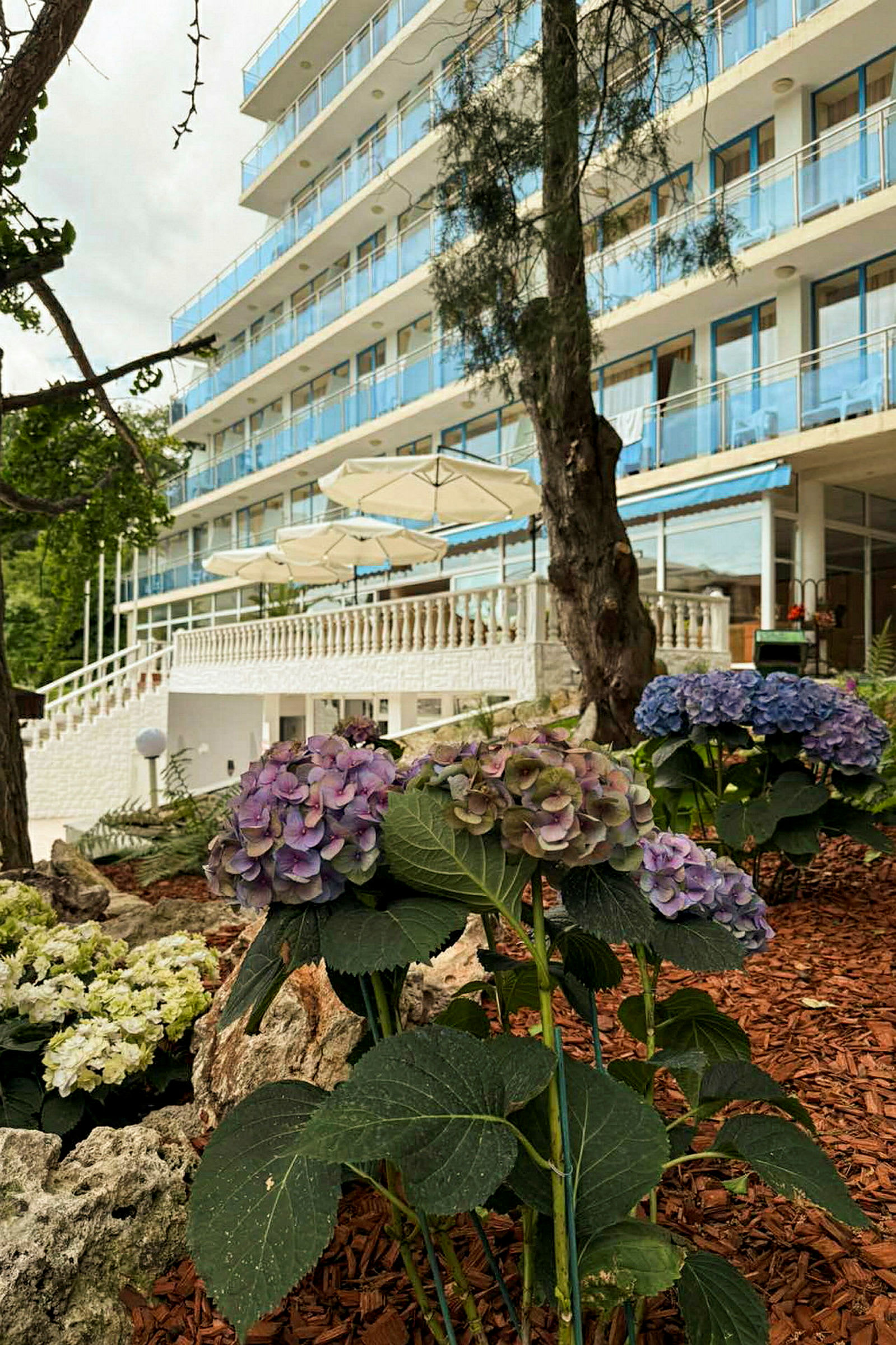 Et hotell med flere etasjer og balkonger, omgitt av blomstrende hortensiaer og trær. (AI-generert tekst)