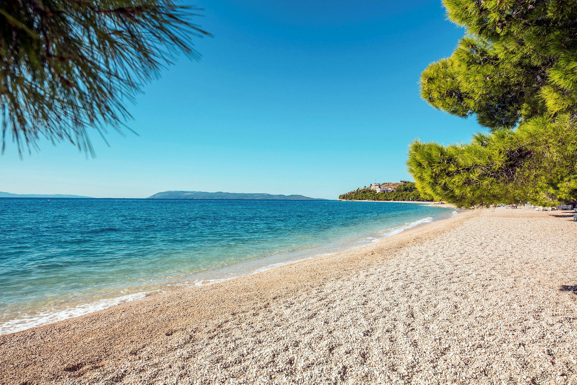 En solrik strand med grus og turkis vann, omgitt av grønne furutrær. (AI-generert tekst)