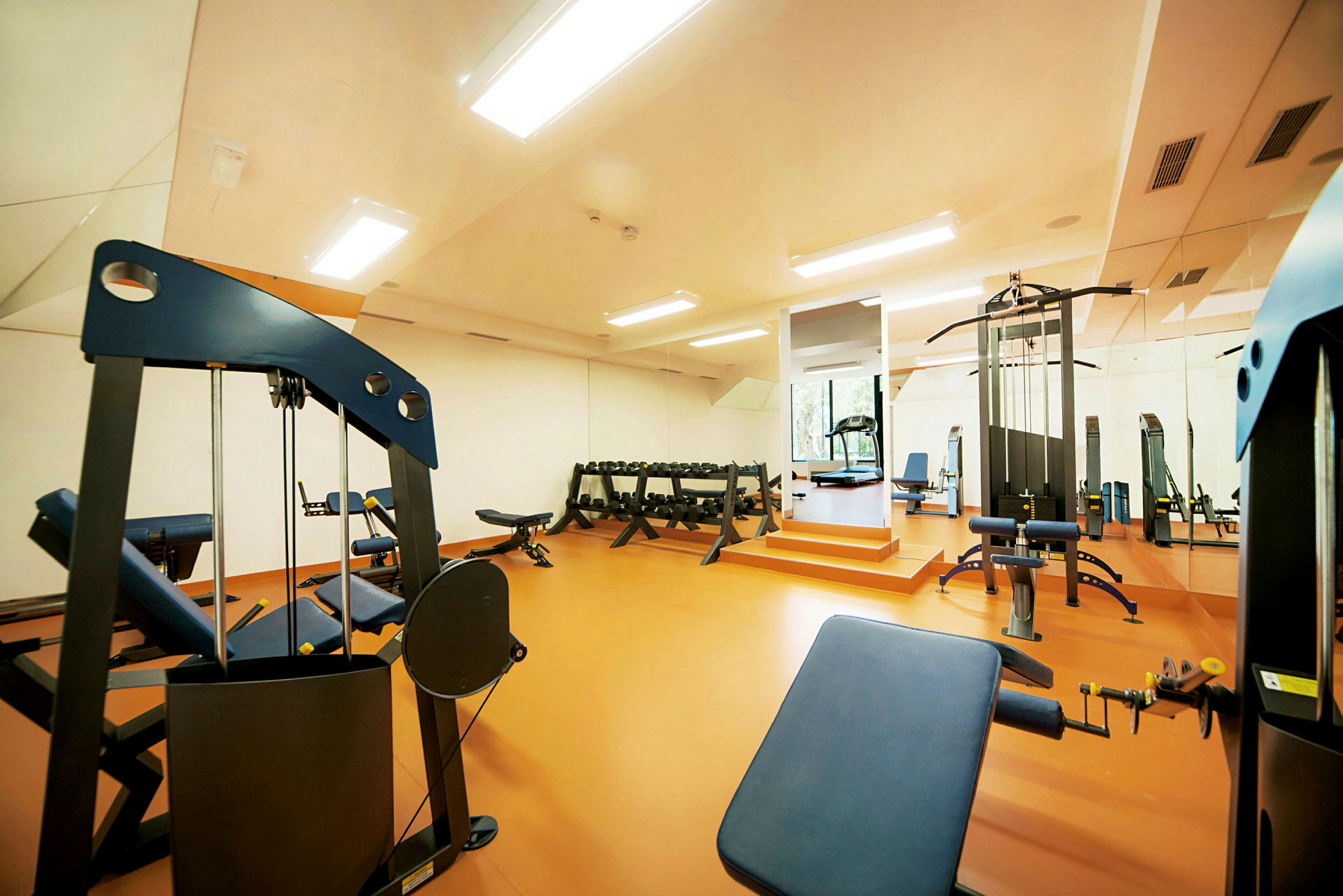 Gym med ulike treningsmaskiner og frivekter. (AI-generert tekst)