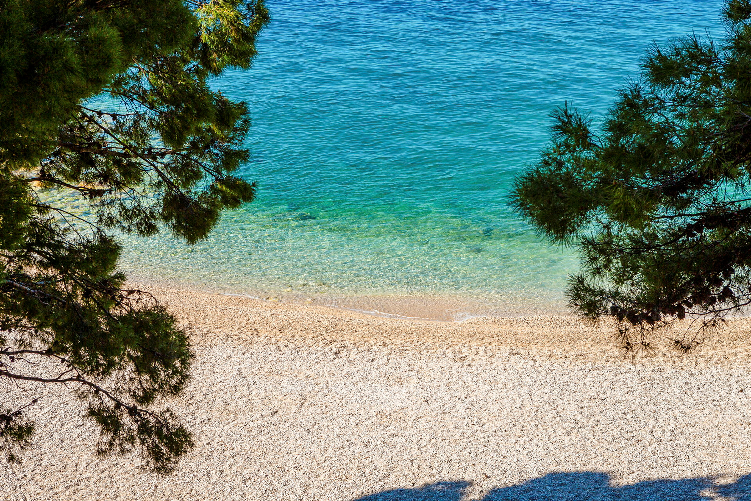 Bilde av en strand med klart blått vann og tregrener i forgrunnen. (AI-generert tekst)