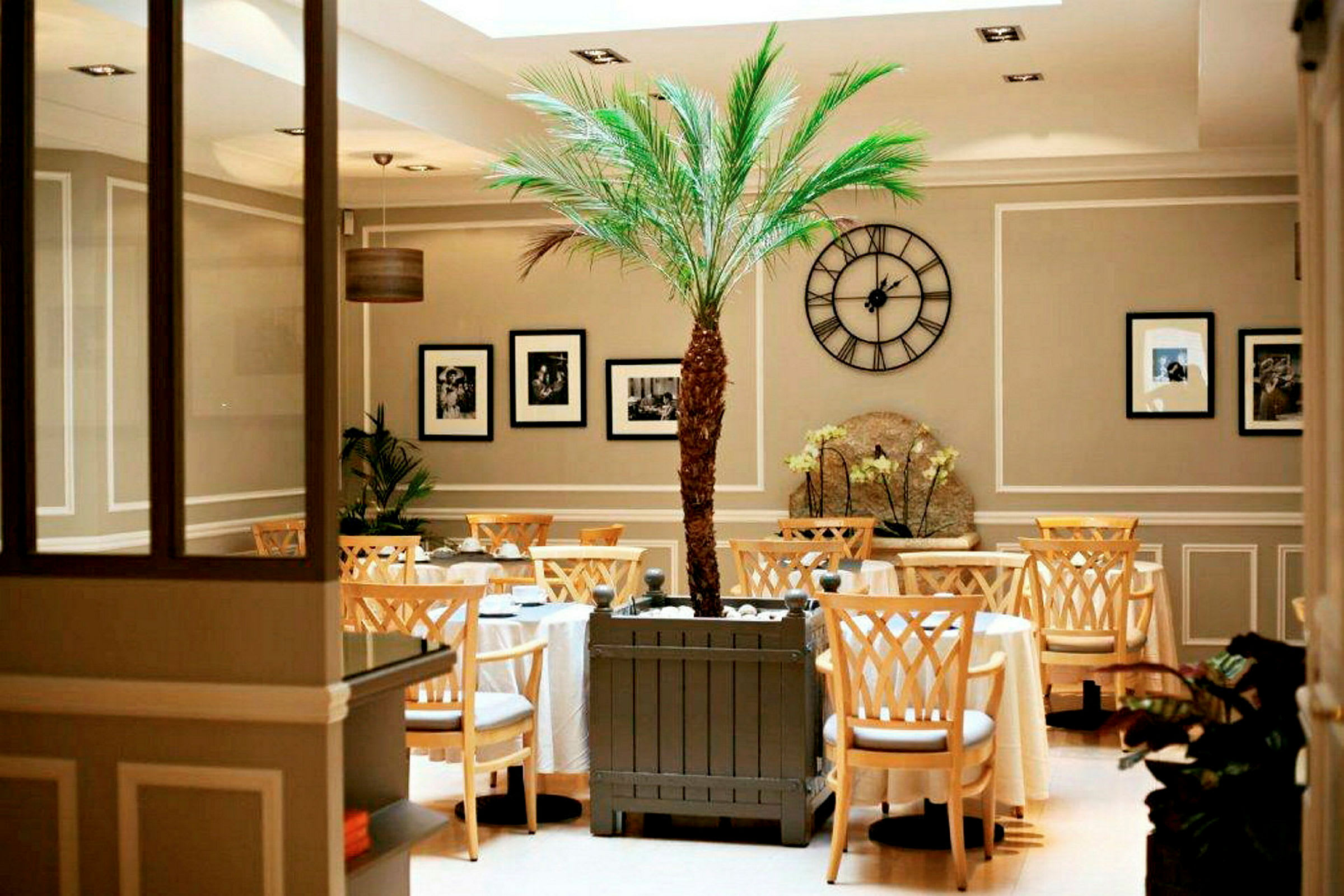 Inne i en elegant kafé med et sentralt plassert palmetre og dekorative detaljer. (AI-generert tekst)
