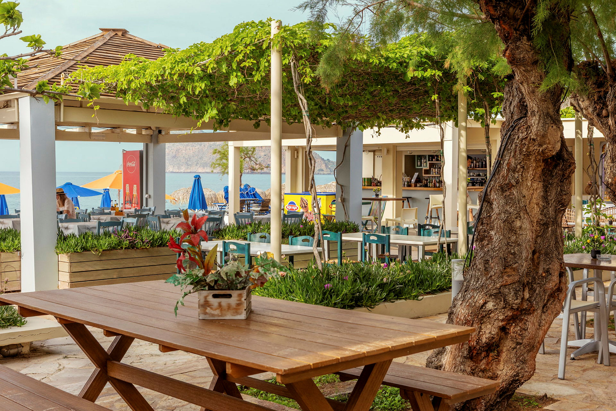 En utendørs restaurant med bord og stoler under grønne pergolaer nær havet. (AI-generert tekst)
