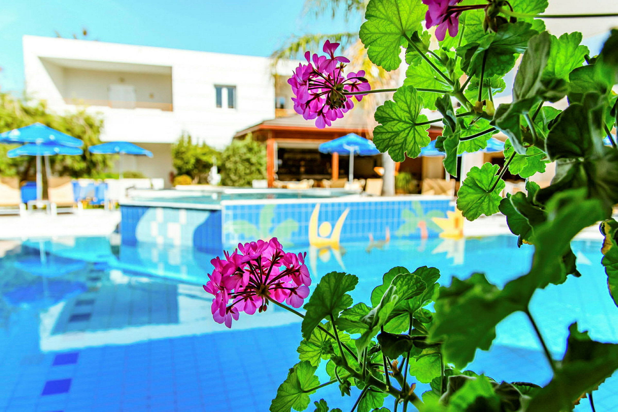 Nærbilde av rosa blomster ved et basseng med blå parasoller og et hotell i bakgrunnen. (AI-generert tekst)
