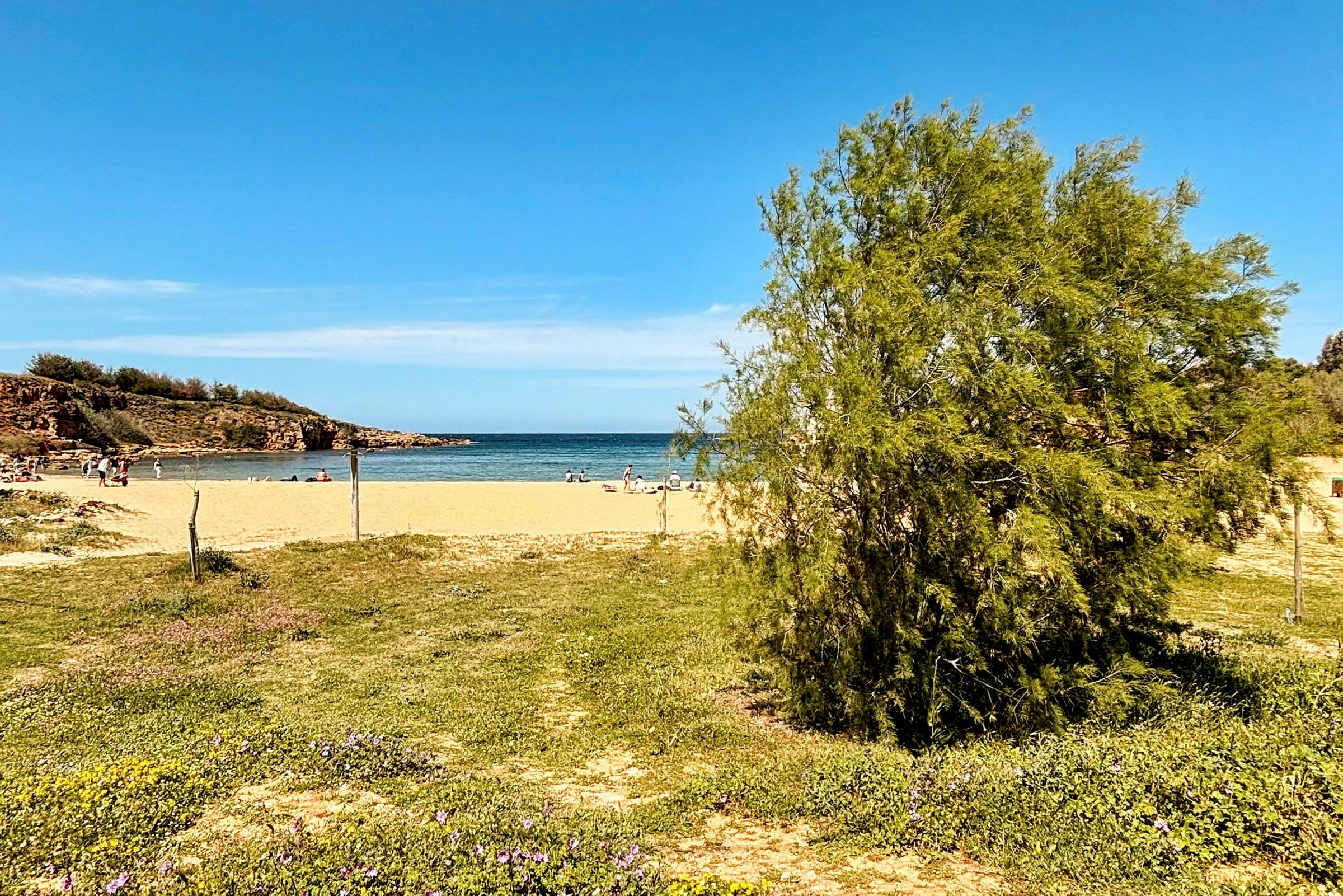 En sandstrand med mennesker, havet og frodig vegetasjon. (AI-generert tekst)