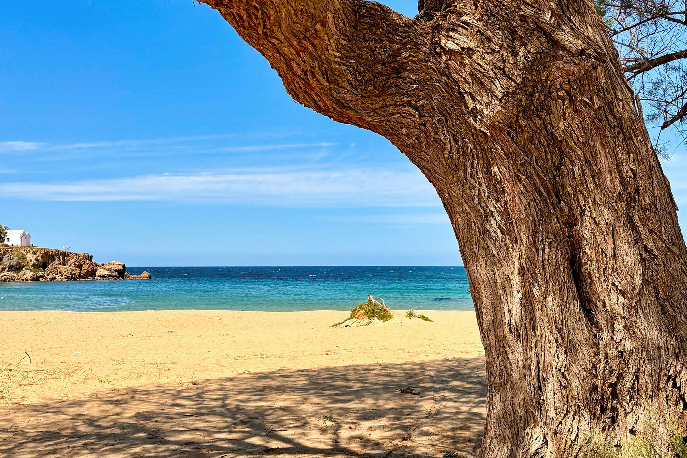 Utsikt over en sandstrand med havet i bakgrunnen, der et tre er synlig i forgrunnen. (AI-generert tekst)
