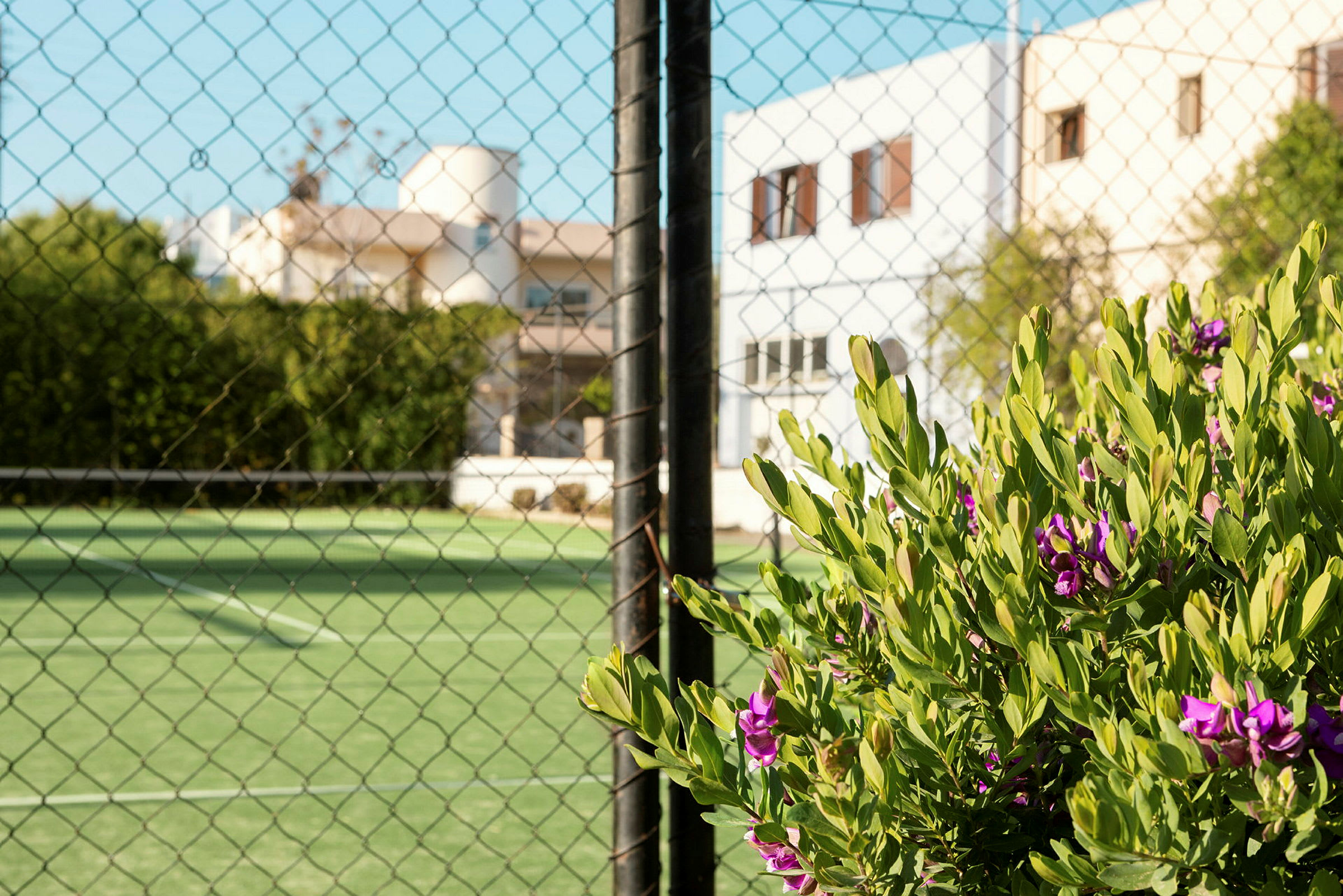 Blomstrende plante foran et gjerde rundt en tennisbane. (AI-generert tekst)