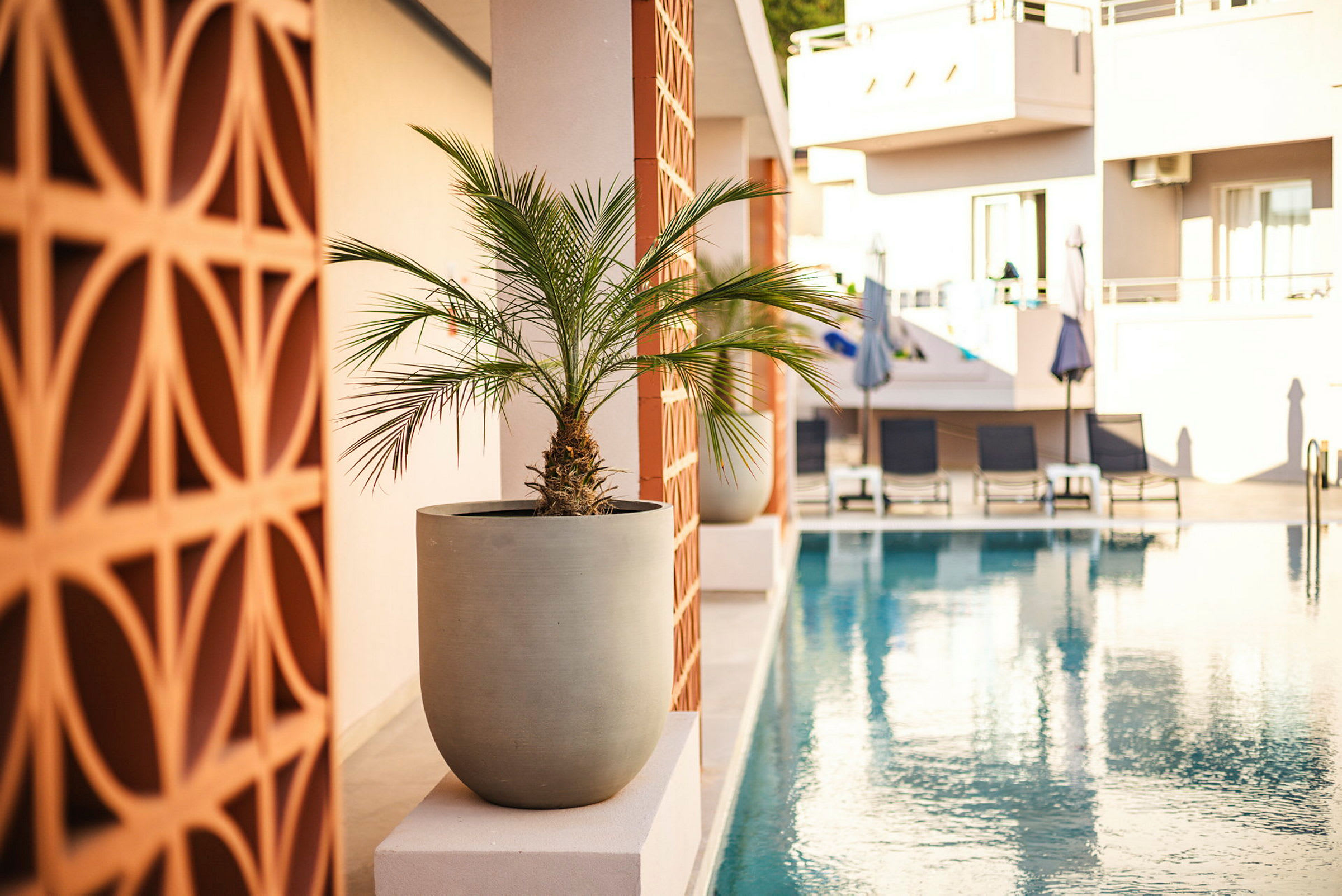 En vase med en liten palme på en kant ved siden av et basseng på et hotell. (AI-generert tekst)