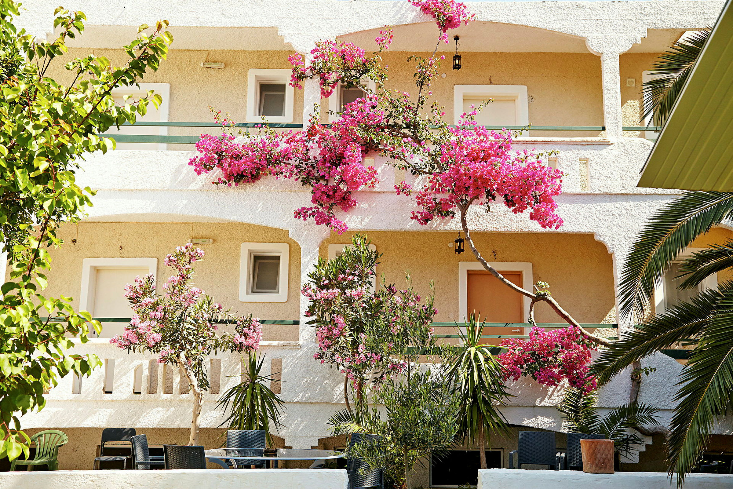 Hvit bygning med rosa blomster og grønne planter. (AI-generert tekst)