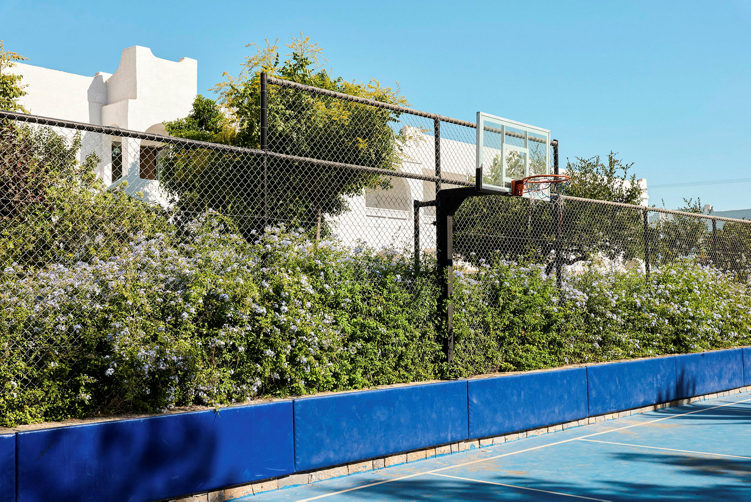 Bildet viser en basketballbane med blå markeringer og en basketballkurv. Bak banen er det en busk med blomster og et metallgjerde som avgrenser området. I bakgrunnen ses bygninger og trær under en klar blå himmel. (AI-generert tekst)