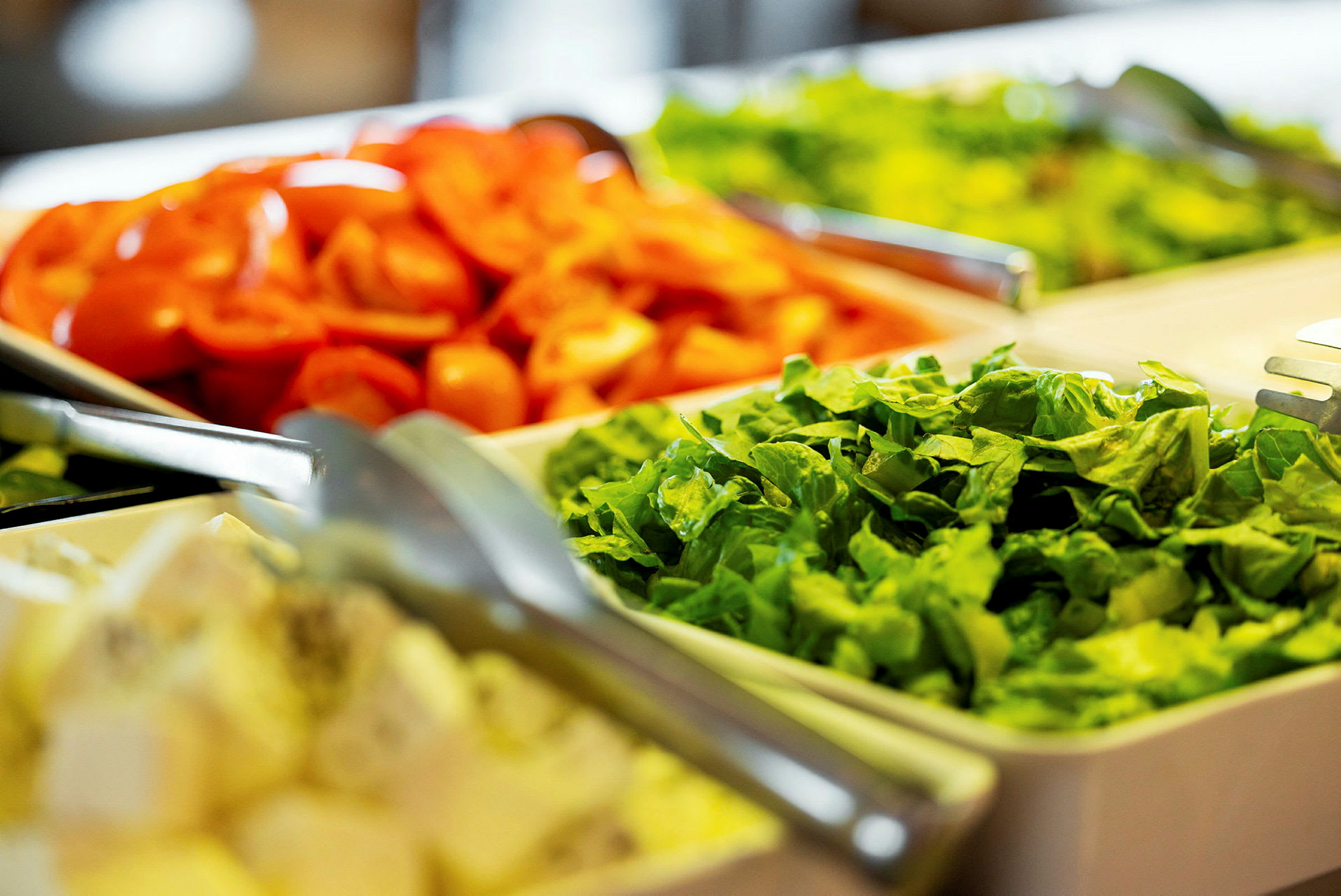 Bilde av en salatbuffé med hakket salat og tomater. (AI-generert tekst)