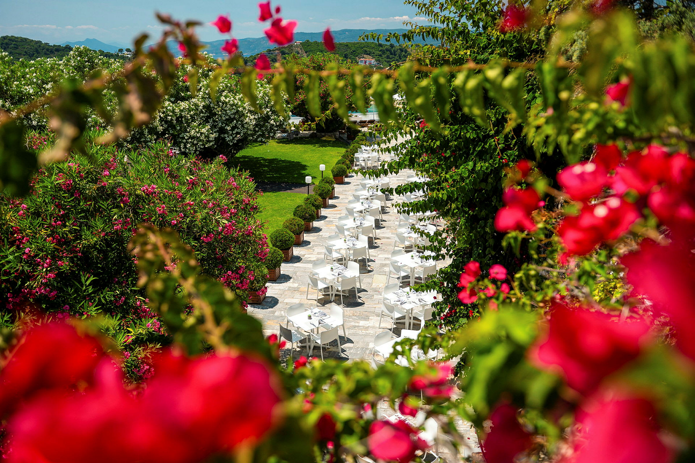 Utendørs restaurant omgitt av frodig vegetasjon og fargerike blomster. (AI-generert tekst)