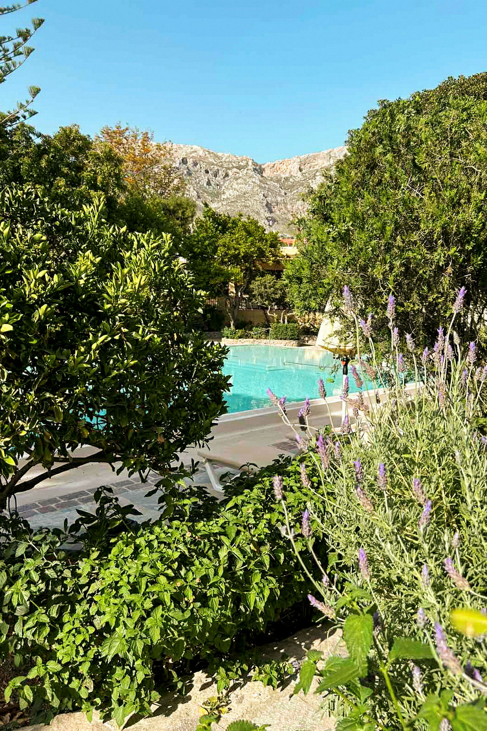 En frodig hage med lavendel og busker ved et utendørsbasseng. En fjellkjede er synlig i bakgrunnen. (AI-generert tekst)
