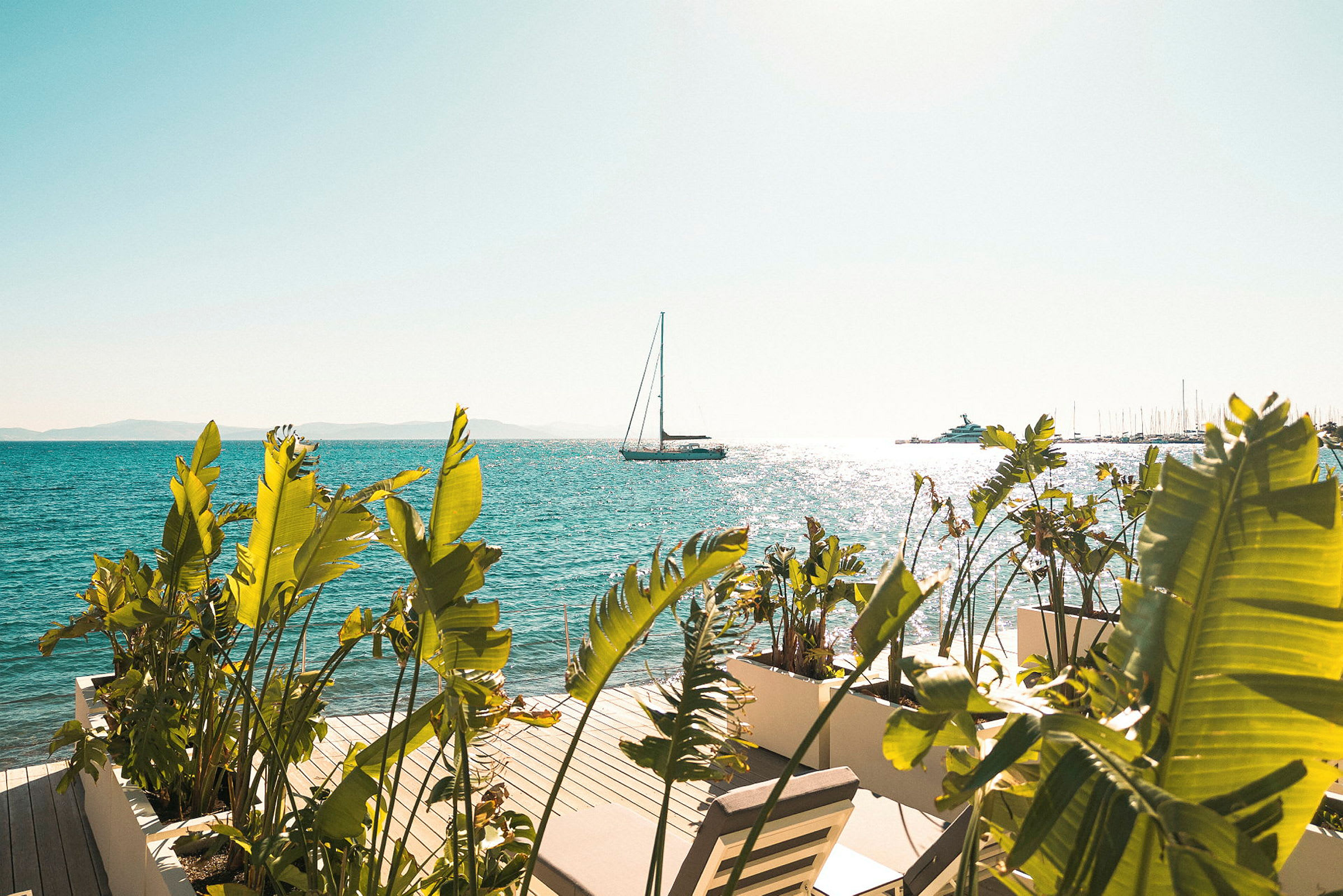 En seilbåt på havet ses i bakgrunnen med solglitter på vannflaten, mens grønne planter og en terrasse med solsenger er i forgrunnen. (AI-generert tekst)