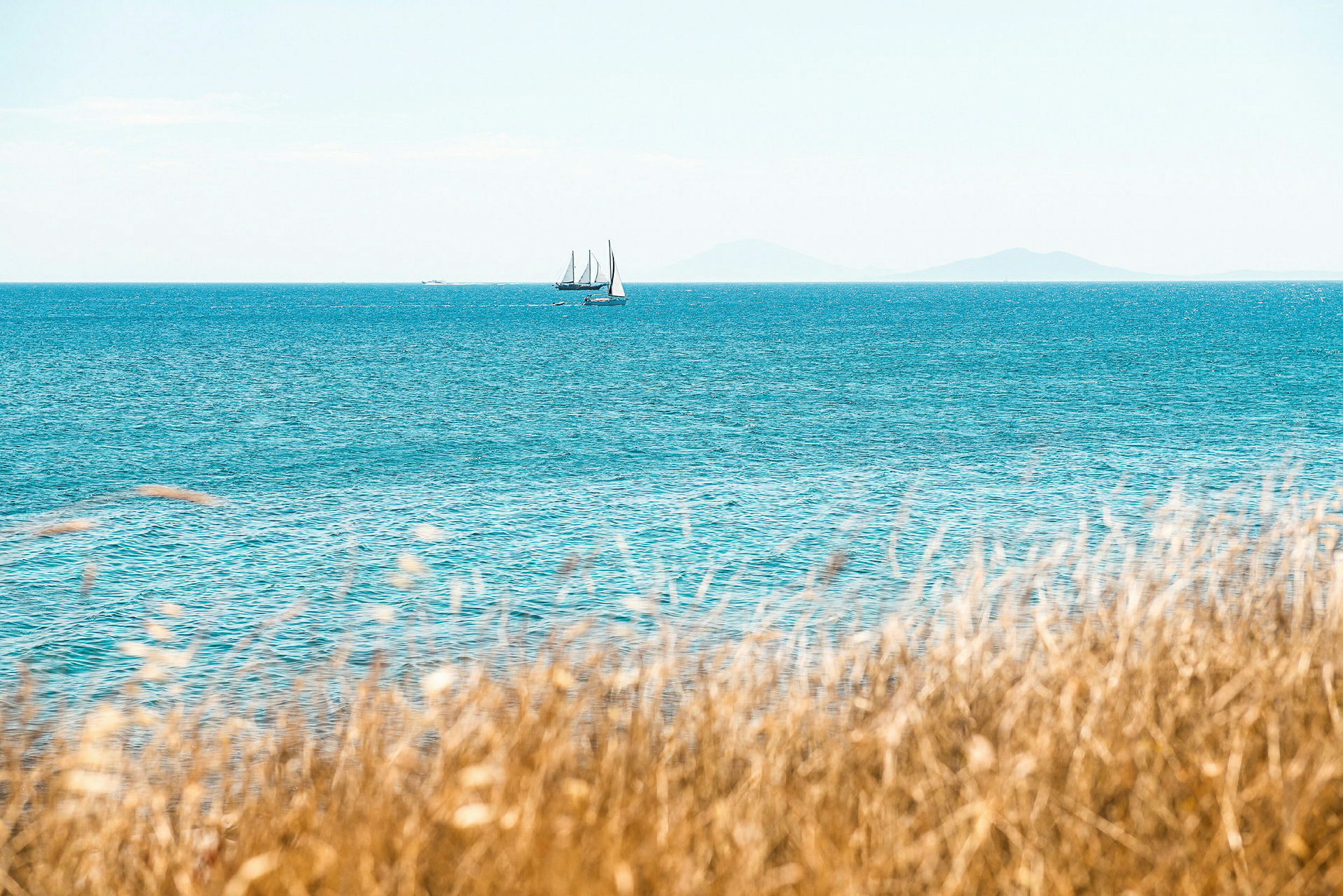 Gress i forgrunnen og seilbåt på havet. (AI-generert tekst)