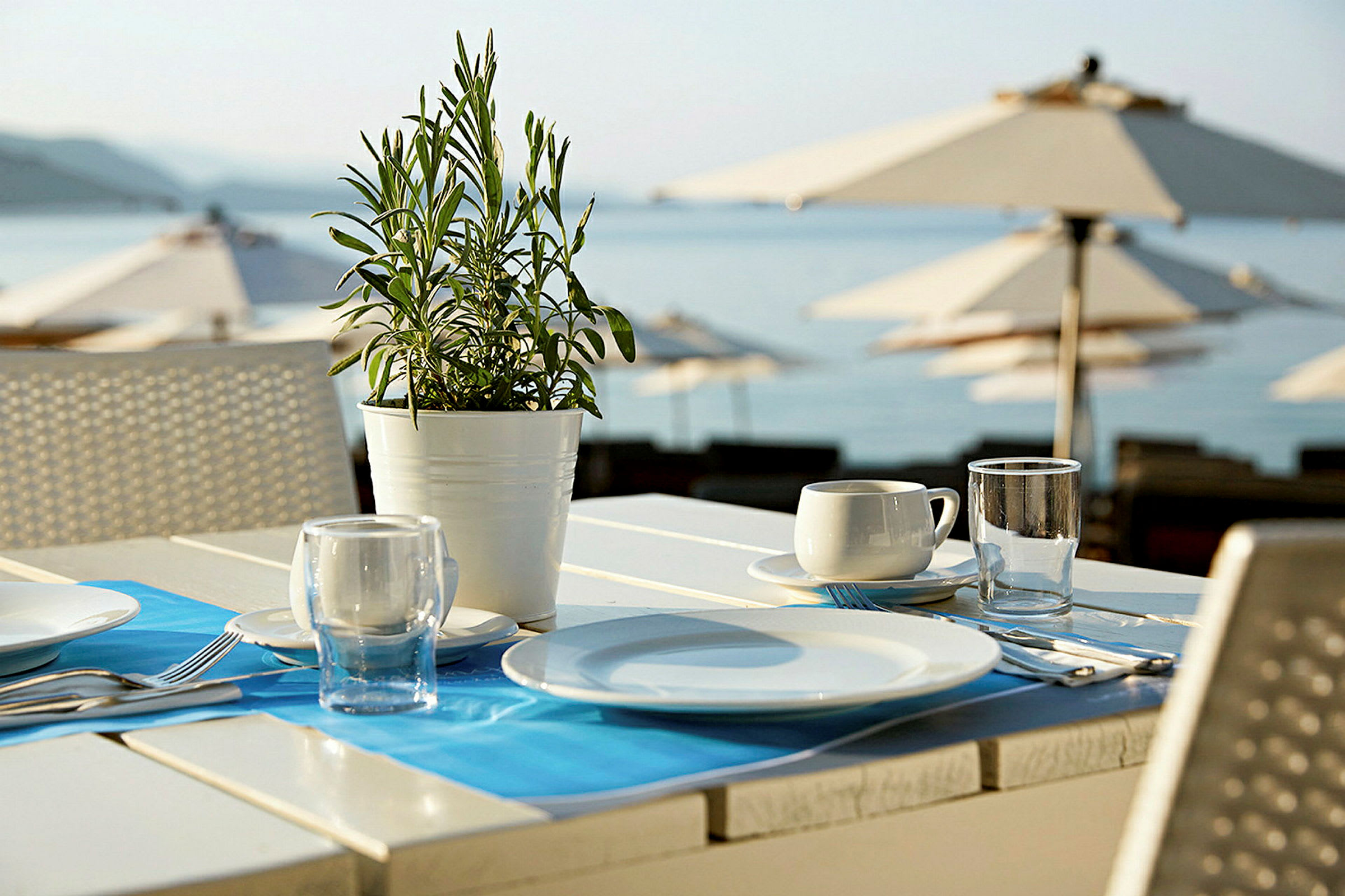 Bilde av et dekket bord med tallerkener, glass og en bordpynt i form av en plante på en restaurant ved stranden. (AI-generert tekst)