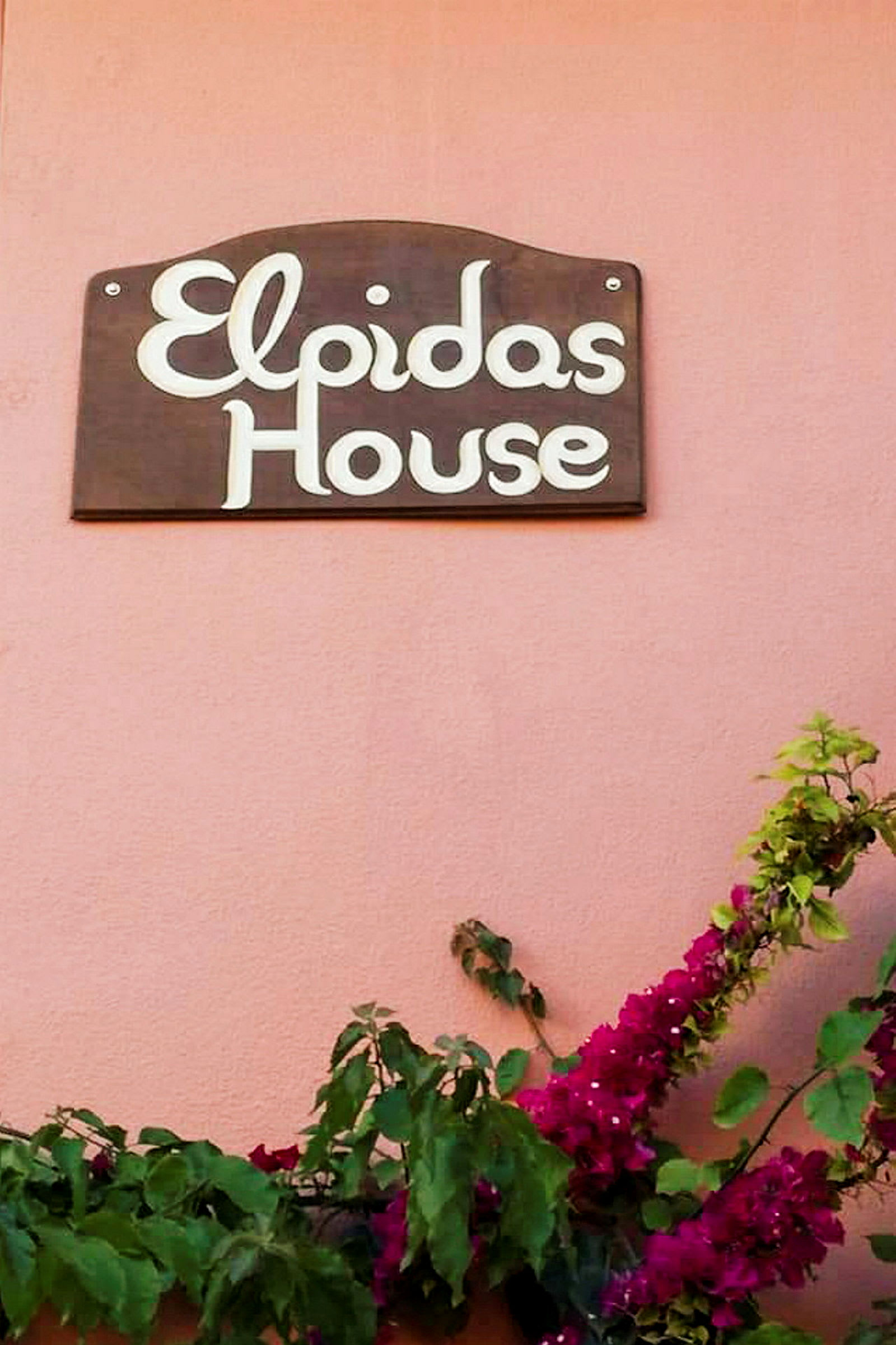 Et skilt med teksten 'Elpidas House' festet på en rosa vegg over en blomstrende plante. (AI-generert tekst)