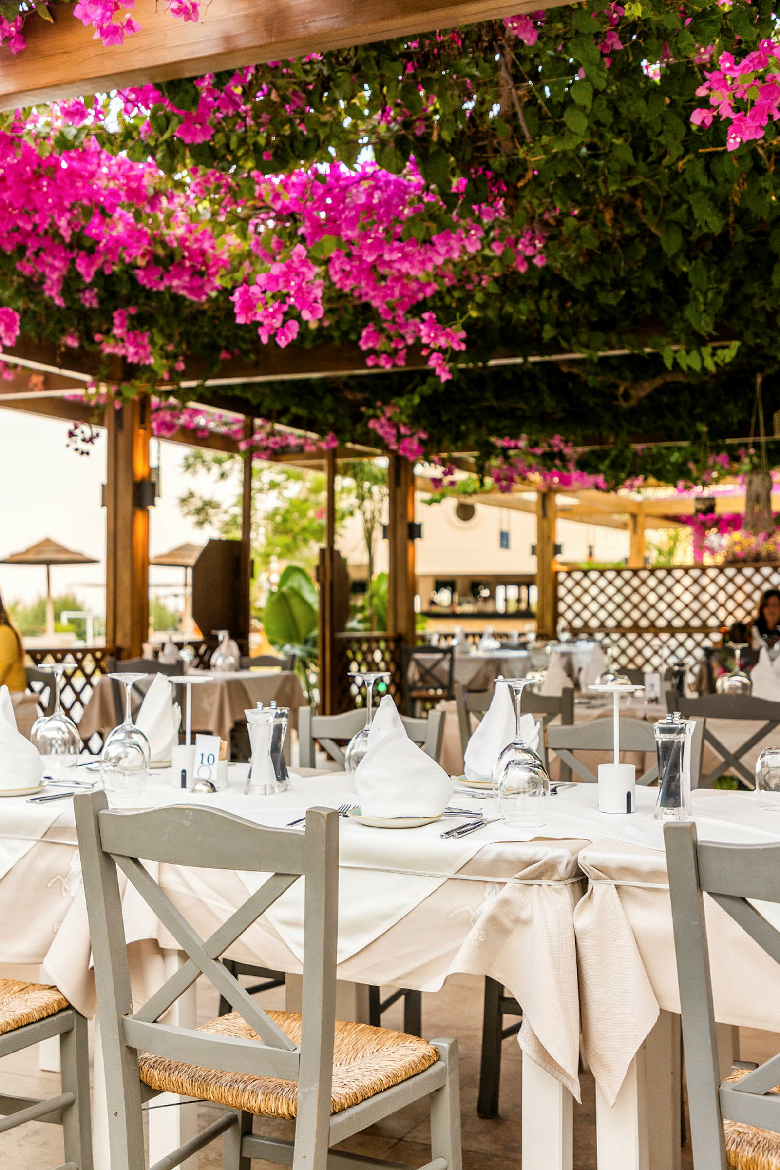 En utendørsrestaurant med bord dekket med hvite duker og omgitt av bougainvillea-blomster som henger fra taket. (AI-generert tekst)