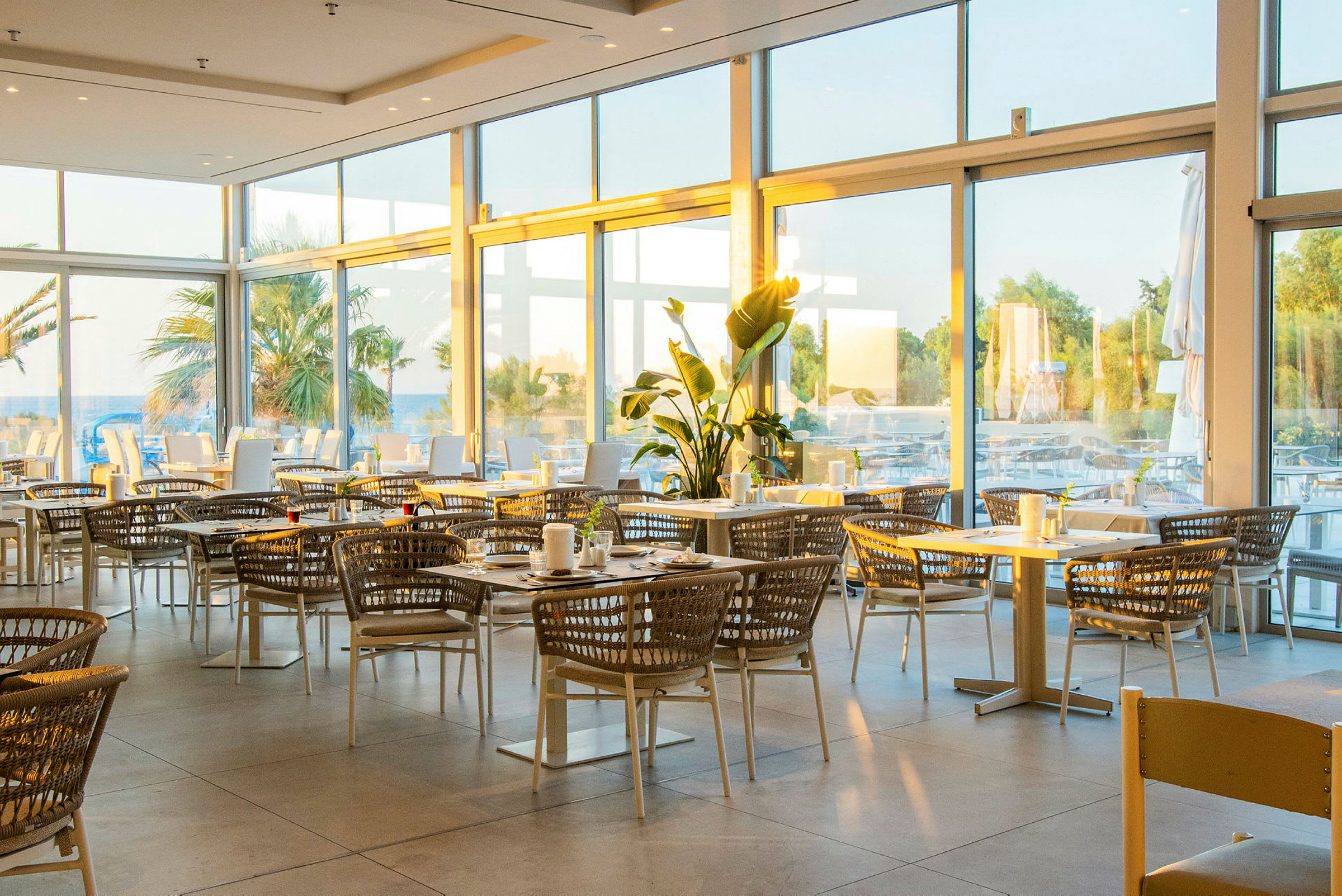 En moderne restaurant med gulv-til-tak-vinduer som vender mot en utendørsterrasse med palmer i bakgrunnen. (AI-generert tekst)