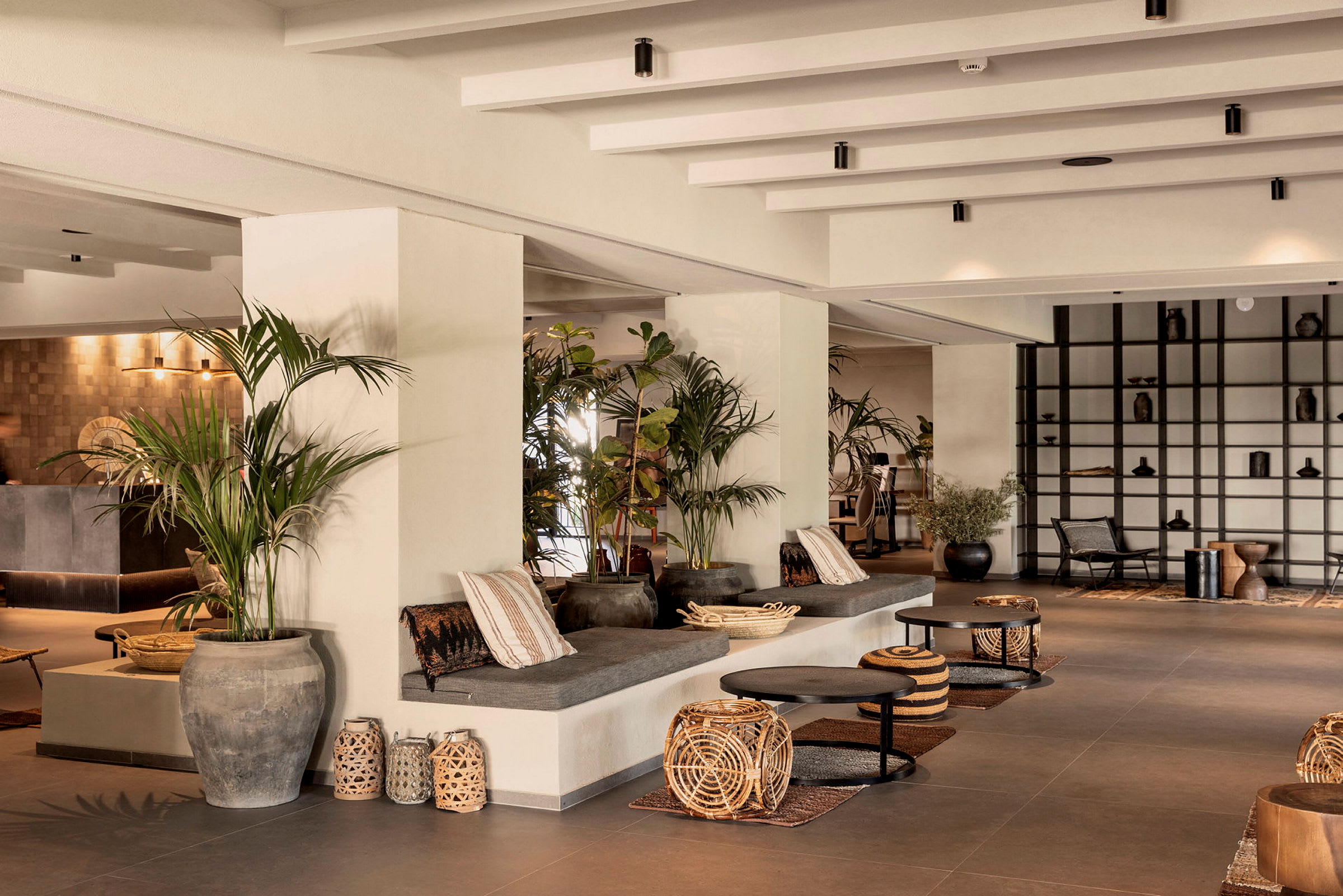 Lys og moderne loungemiljø med sofaer, bord og store planter. (AI-generert tekst)