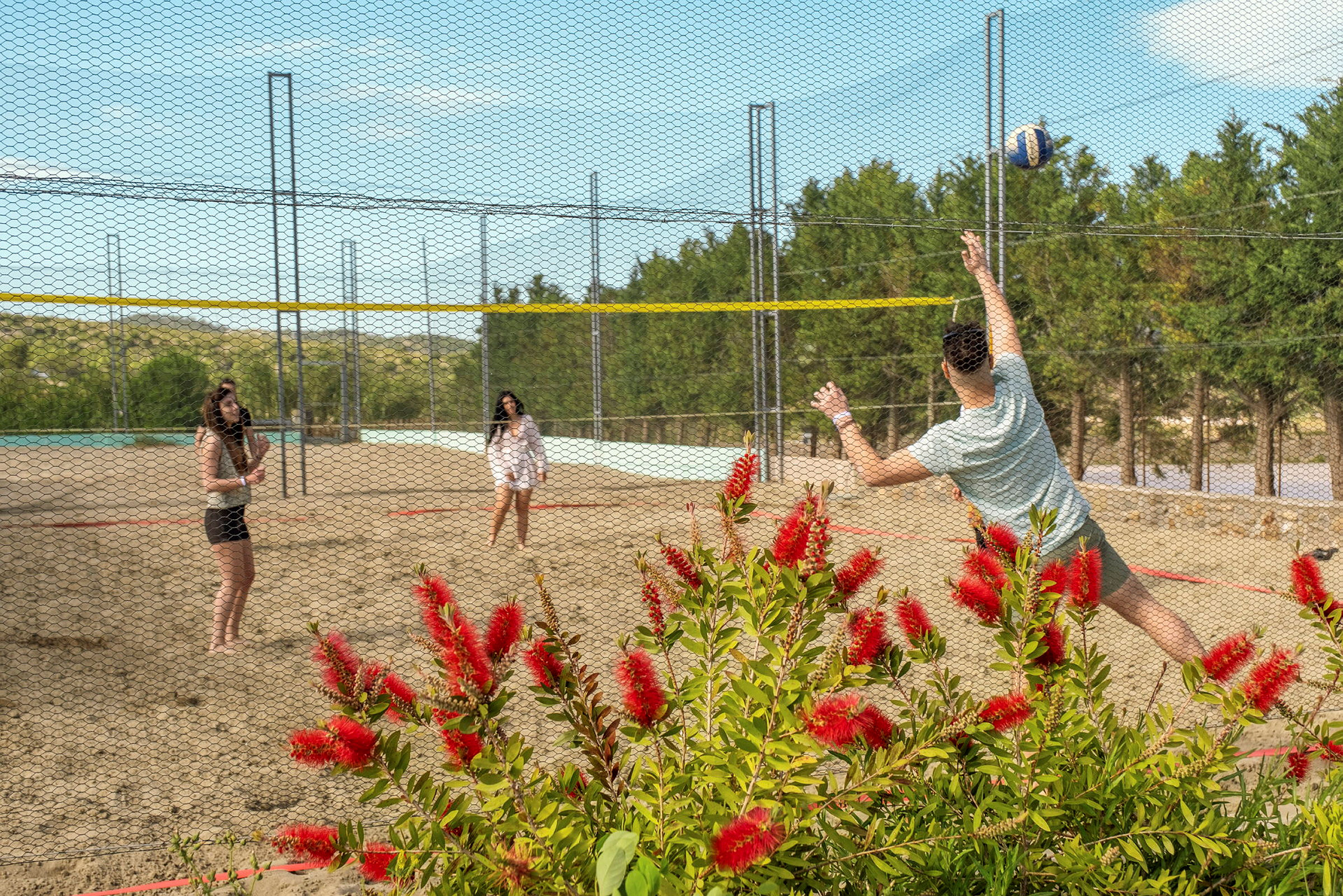 Personer spiller volleyball på en sandbane med en blomstrende busk i forgrunnen. (AI-generert tekst)
