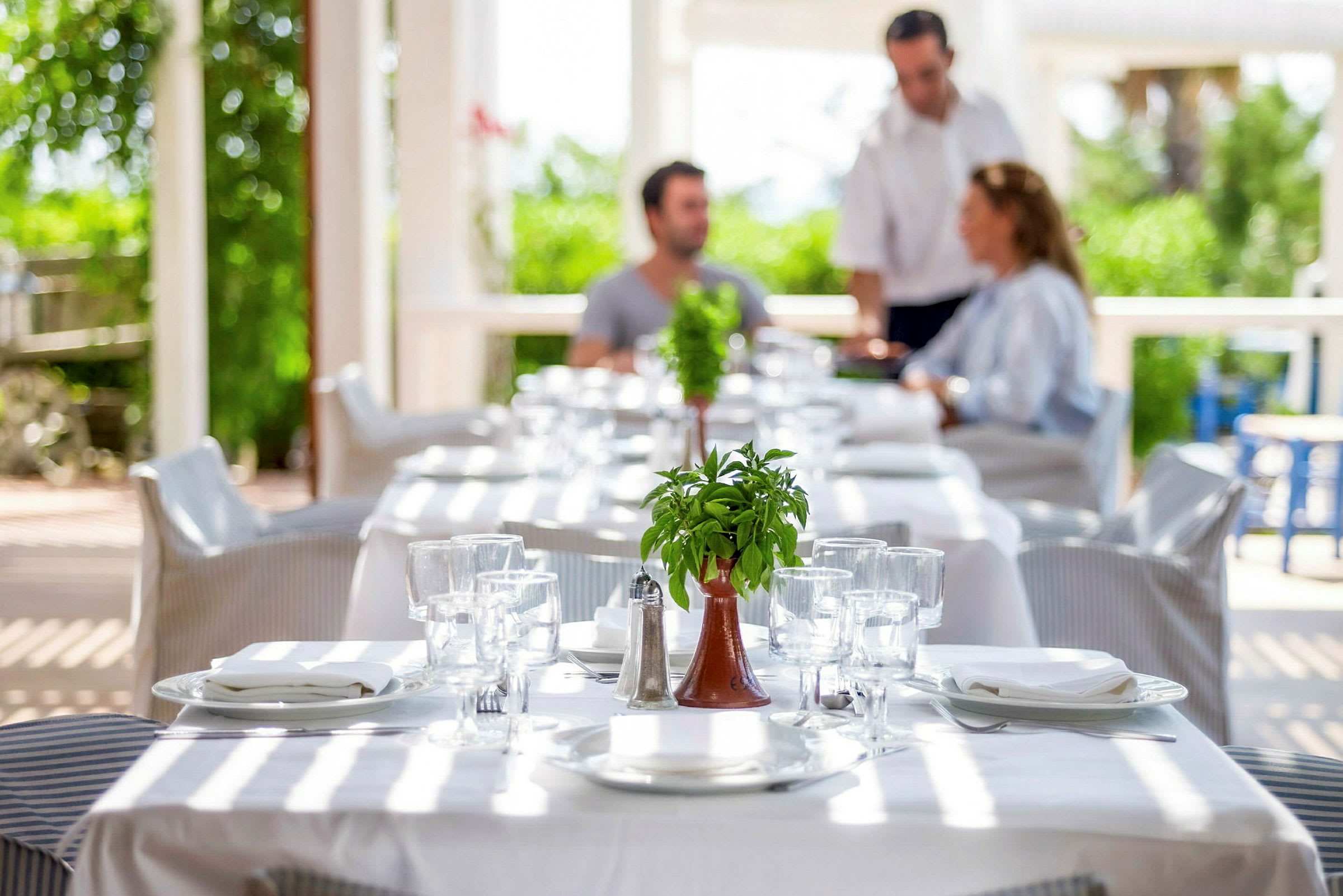 Et bord i en restaurant med en potteplante som dekorasjon og dekket med tallerkener og glass. (AI-generert tekst)