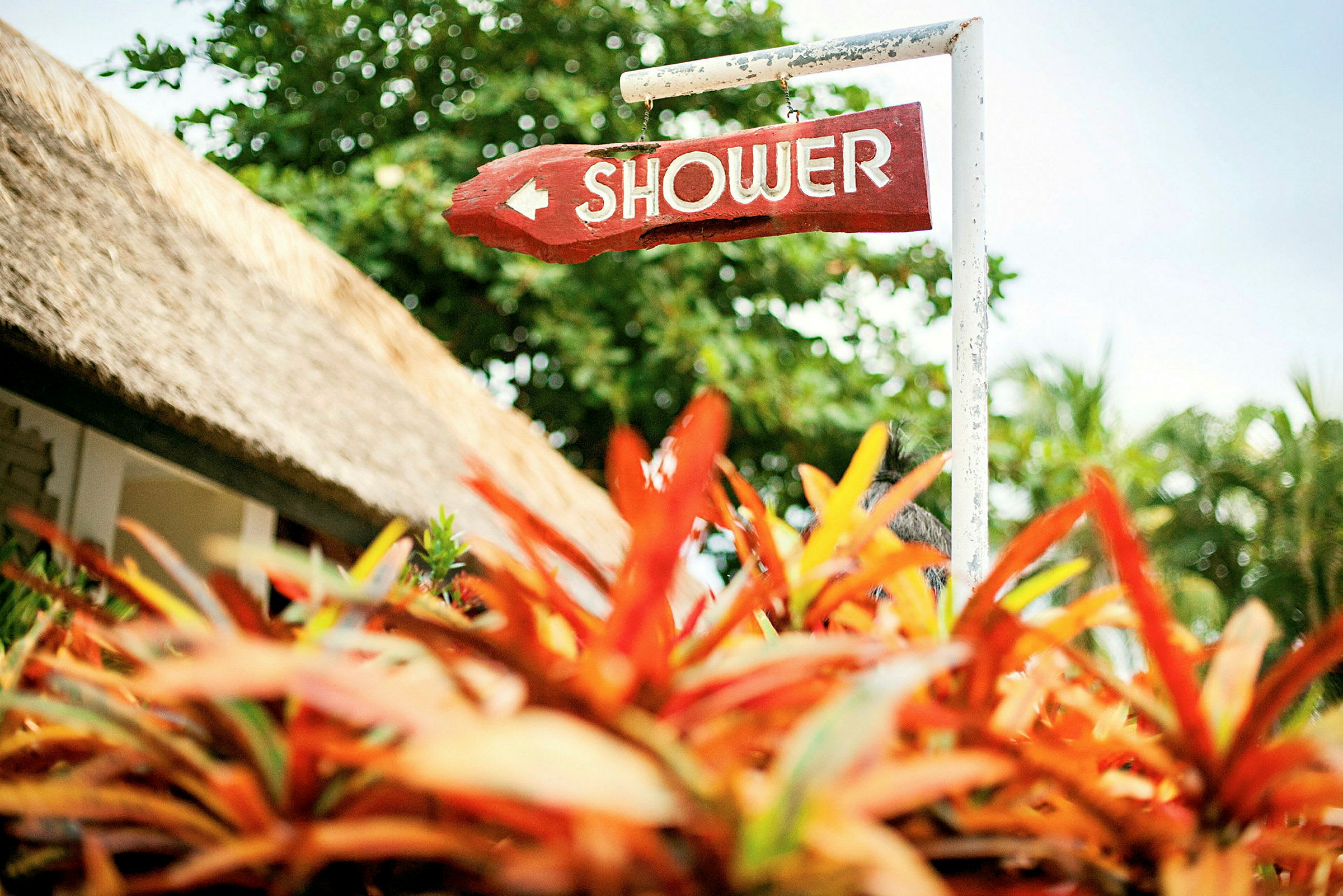 Et skilt med teksten "Shower" peker i en retning, omgitt av frodige planter og et stråtak i bakgrunnen. (AI-generert tekst)
