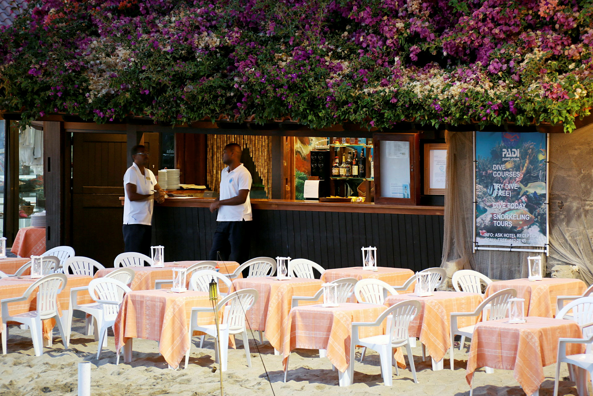 Et bilde av en strandrestaurant med bord og stoler med oransje duker, en bar under et tak dekket av blomster og en plakat som annonserer dykkekurs. (AI-generert tekst)
