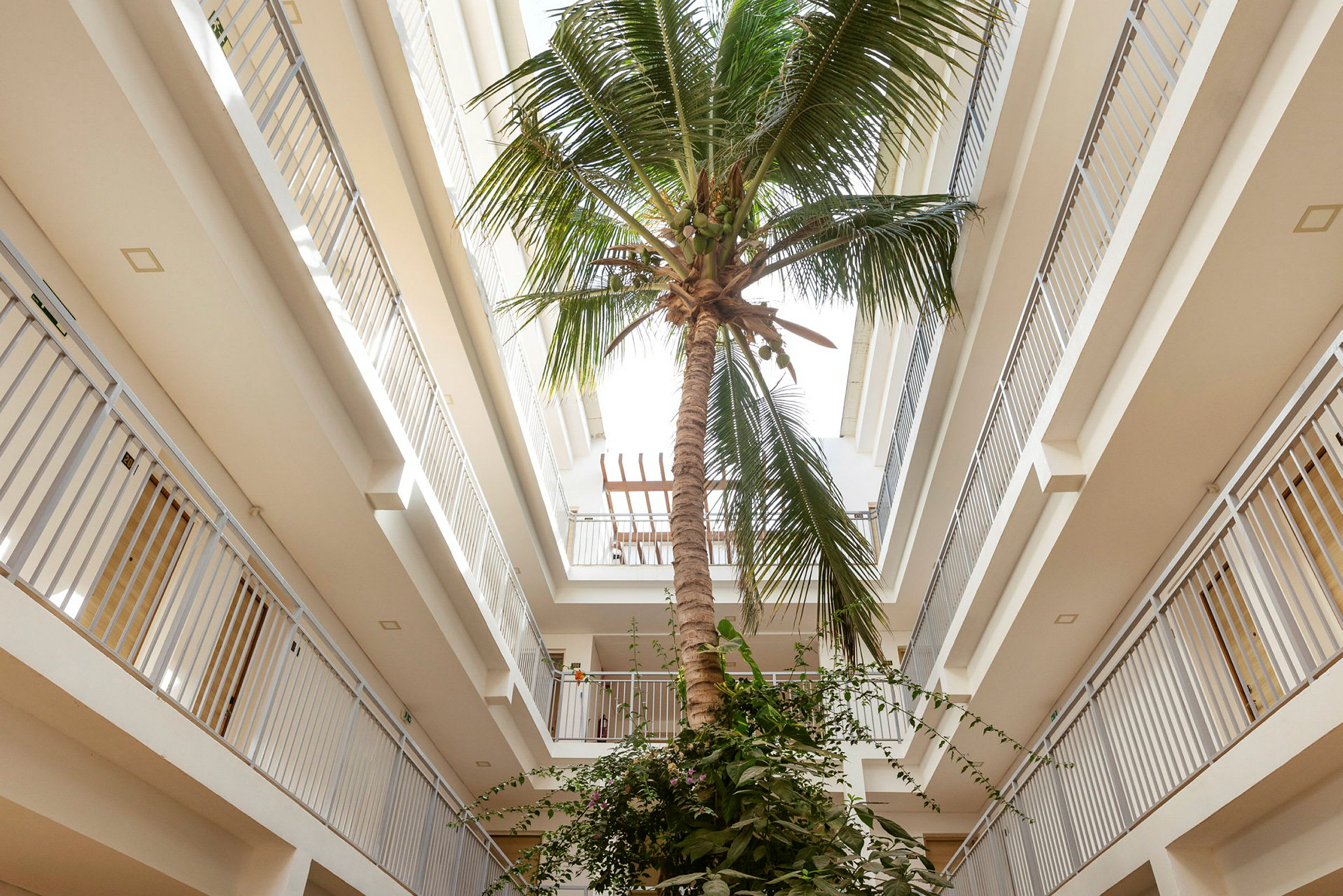 Et bilde av en palme som står inne i en bygning med flere etasjer. (AI-generert tekst)