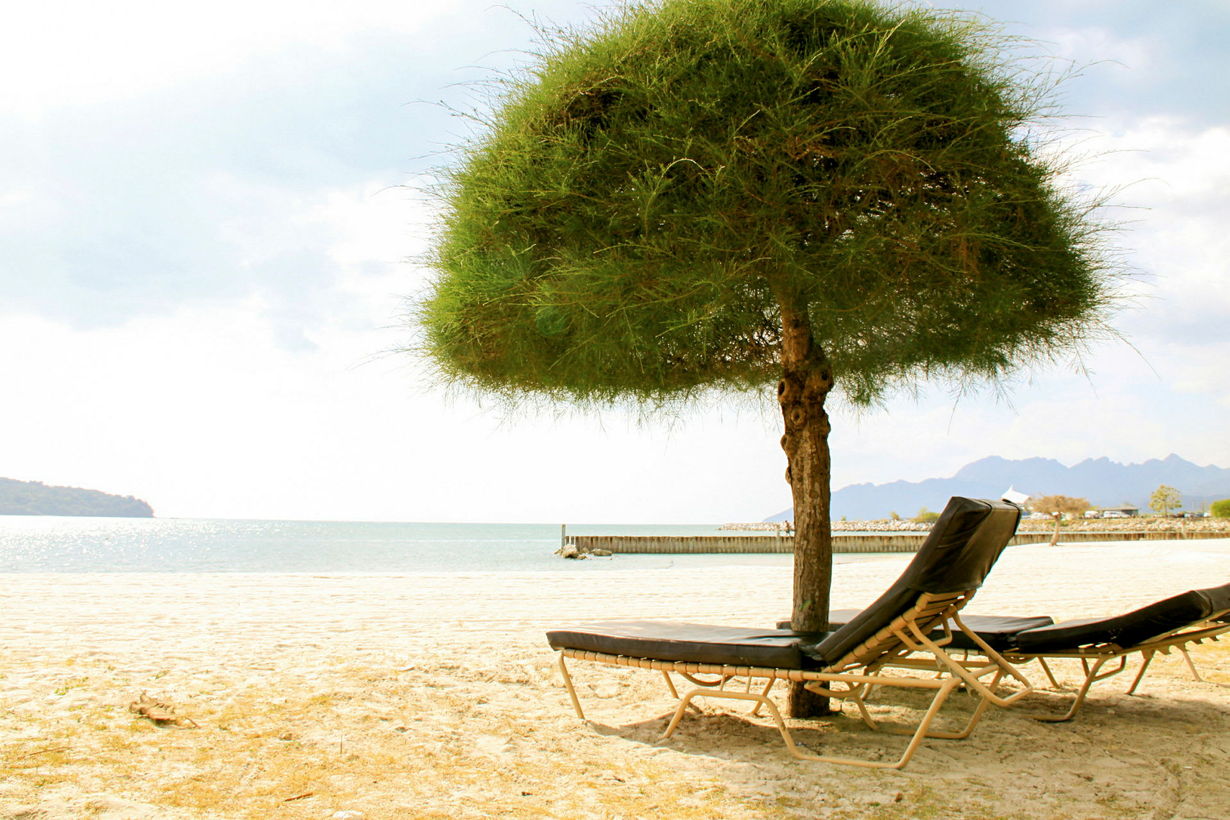 Strand med solsenger under et frodig tre ved havet. (AI-generert tekst)